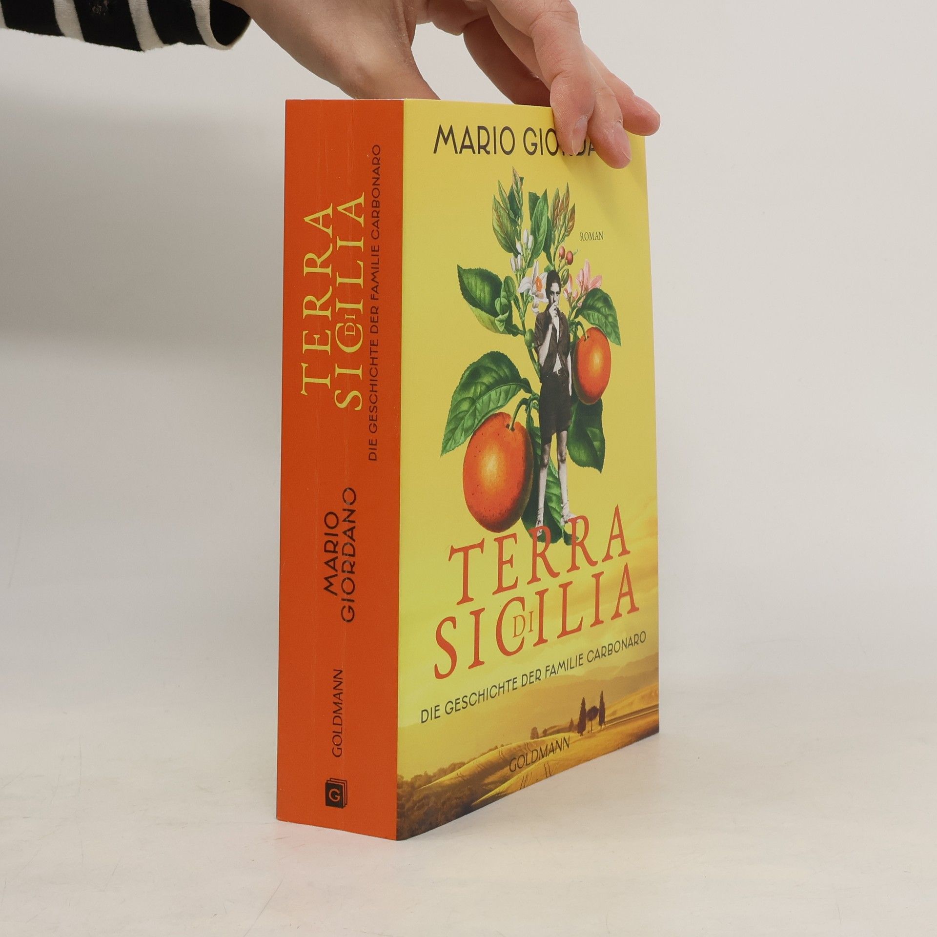 Mario Giordano Terra di Sicilia. Die Geschichte der Familie Carbonaro