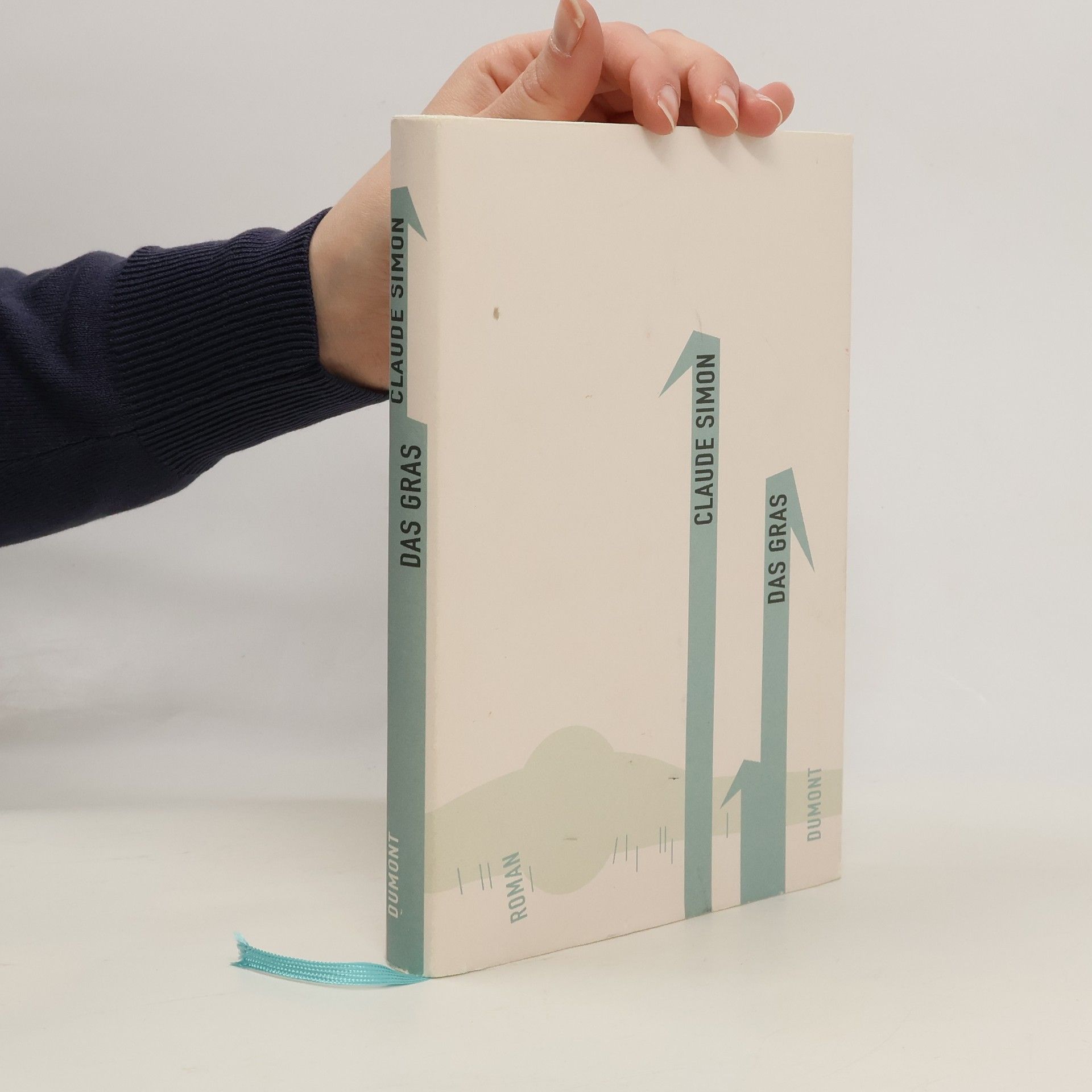 Claude Simon Das Gras