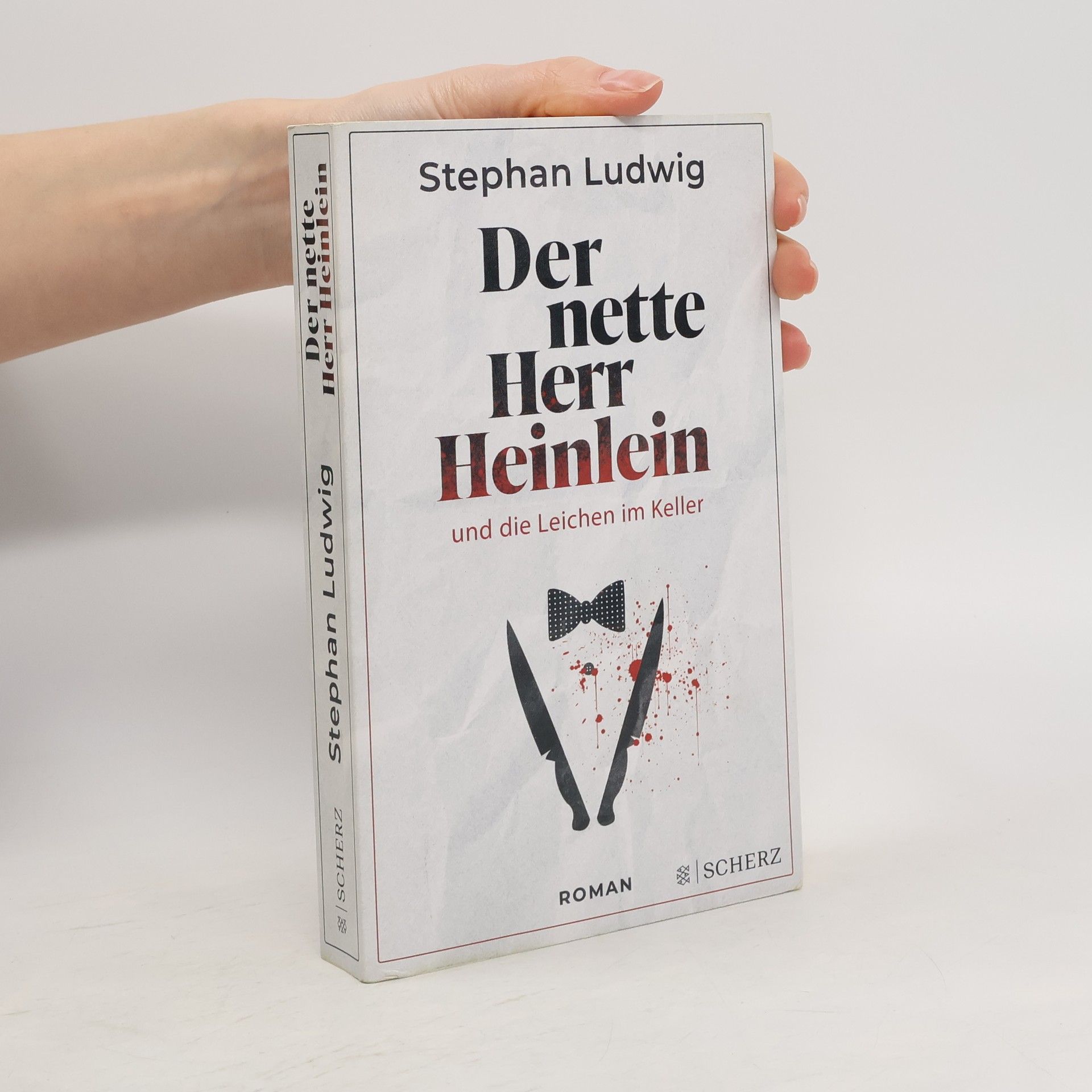 Stephan Ludwig Der nette Herr Heinlein und die Leichen im Keller