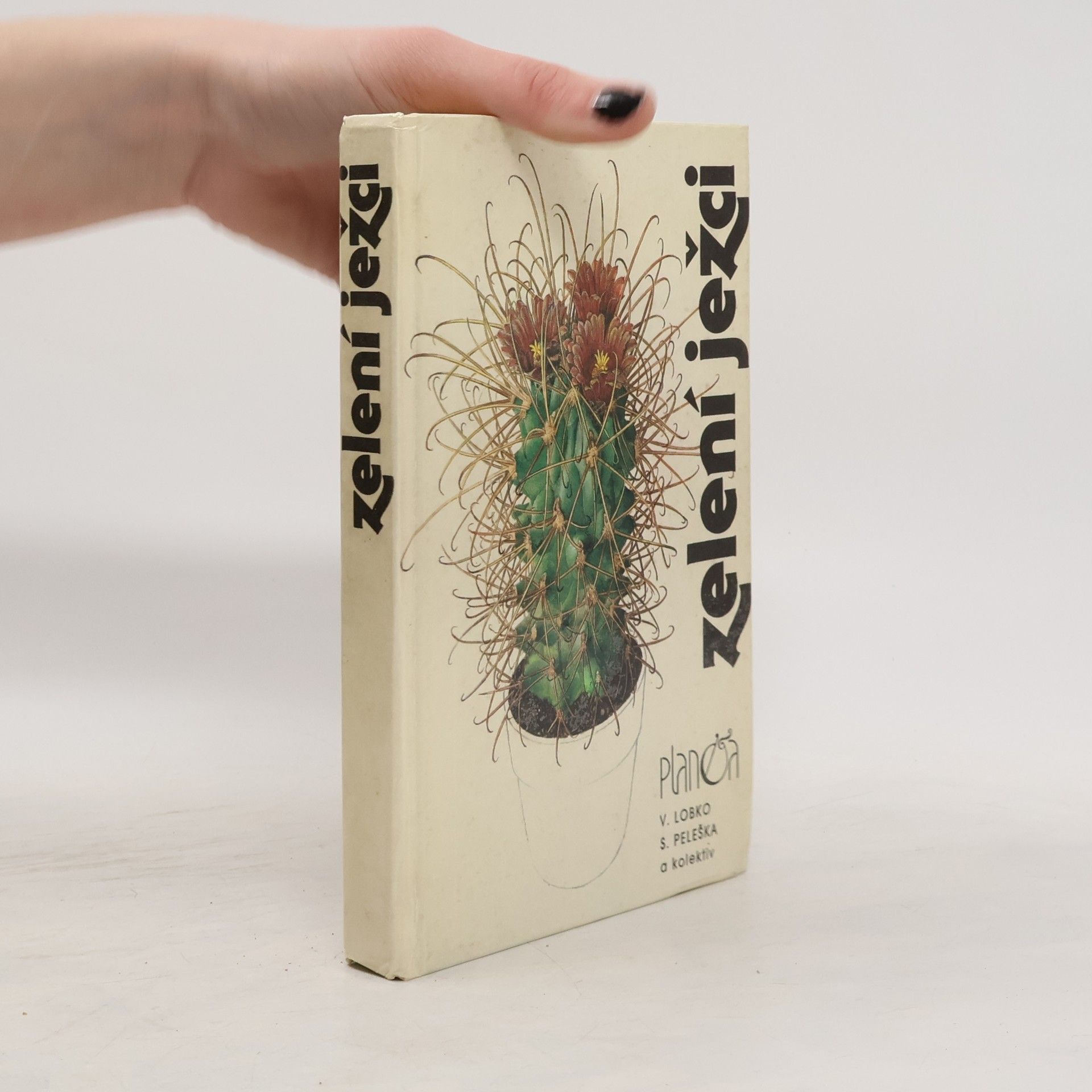 Valerij Dmitrijevič Lobko Zelení ježci