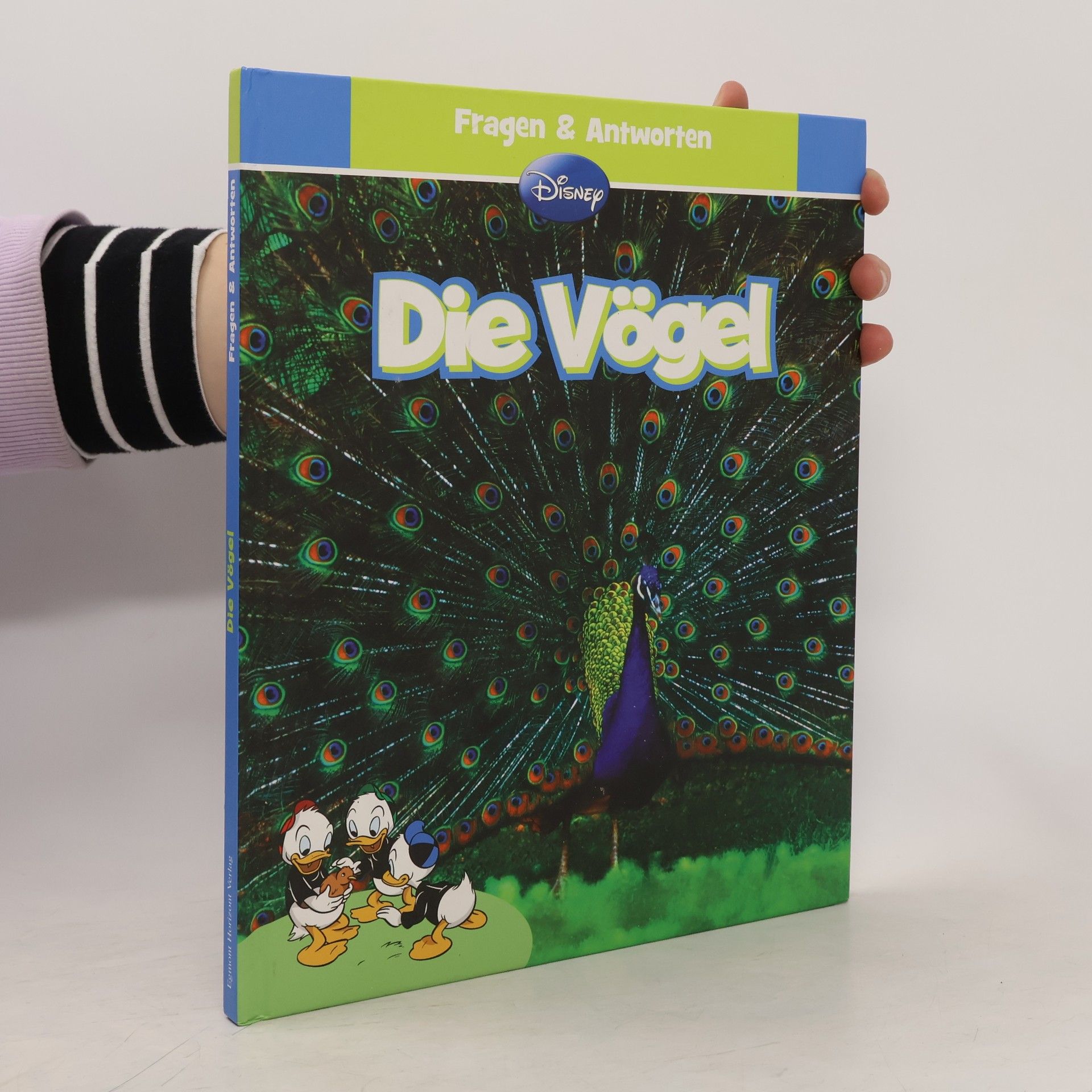 Walt Disney Die Vögel