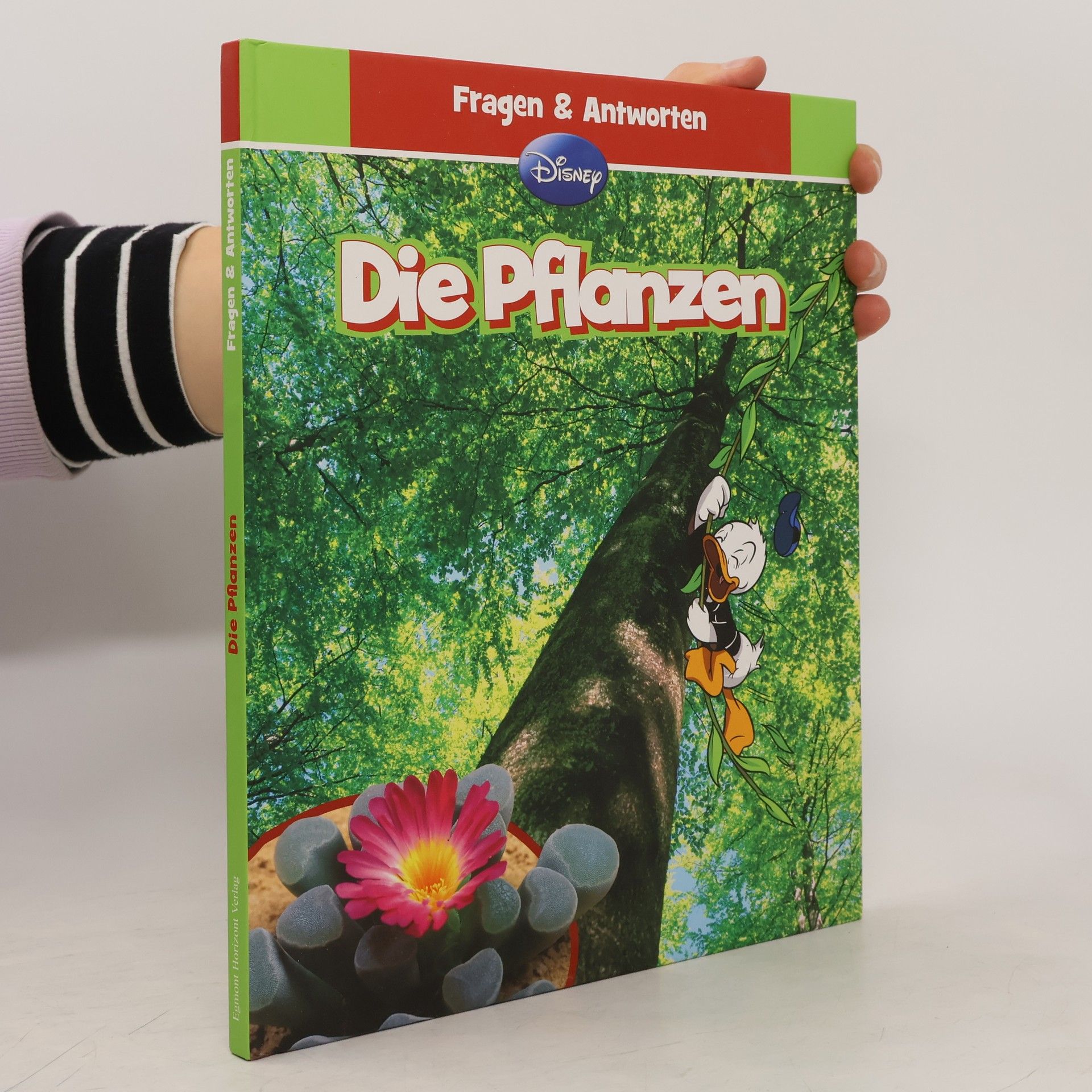Walt Disney Die Pflanzen