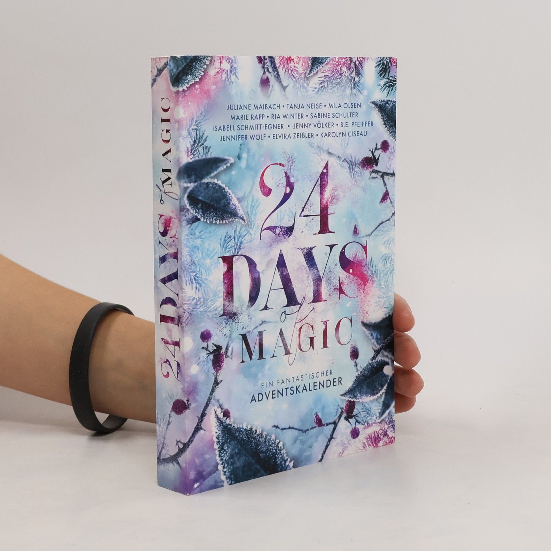 Karolyn Ciseau 24 Days of Magic. Ein fantastischer Adventskalender