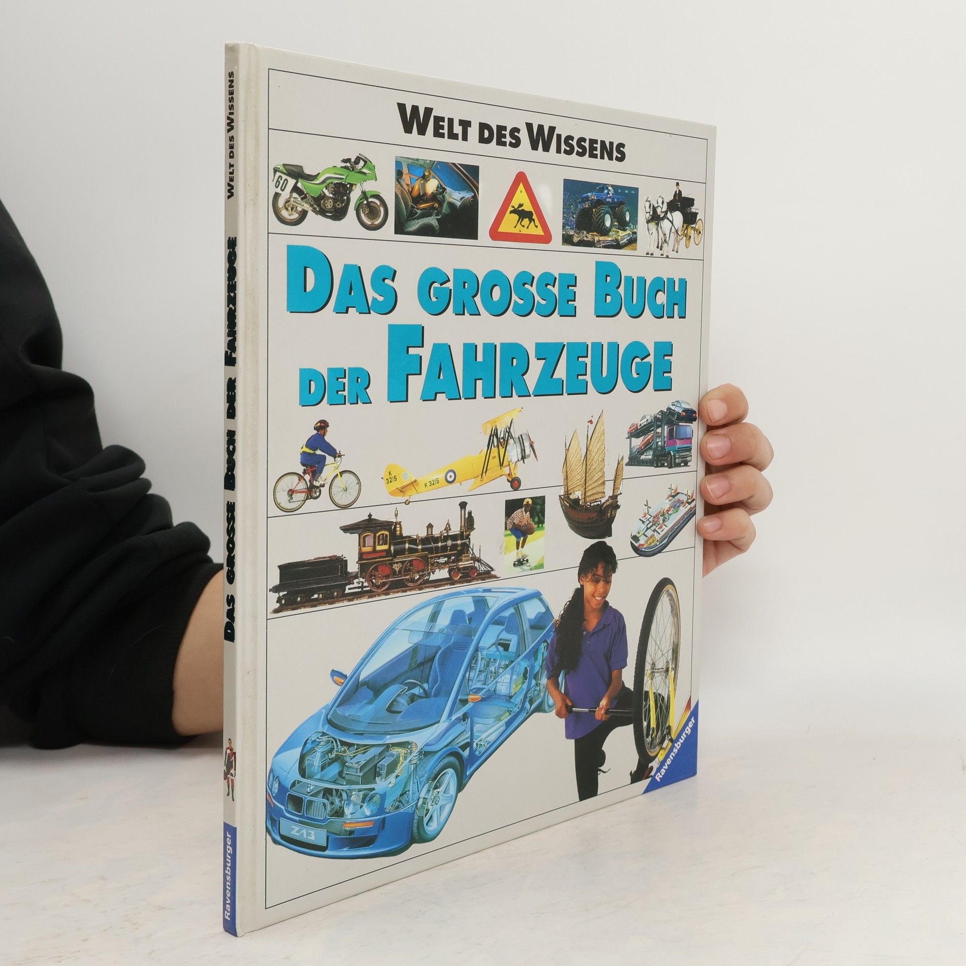 Sibylle Schneider Das große Buch der Fahrzeuge