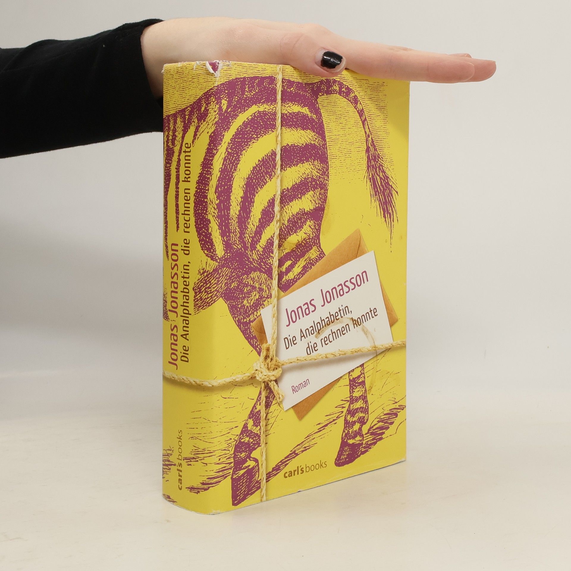 Die Analphabetin, die rechnen konnte