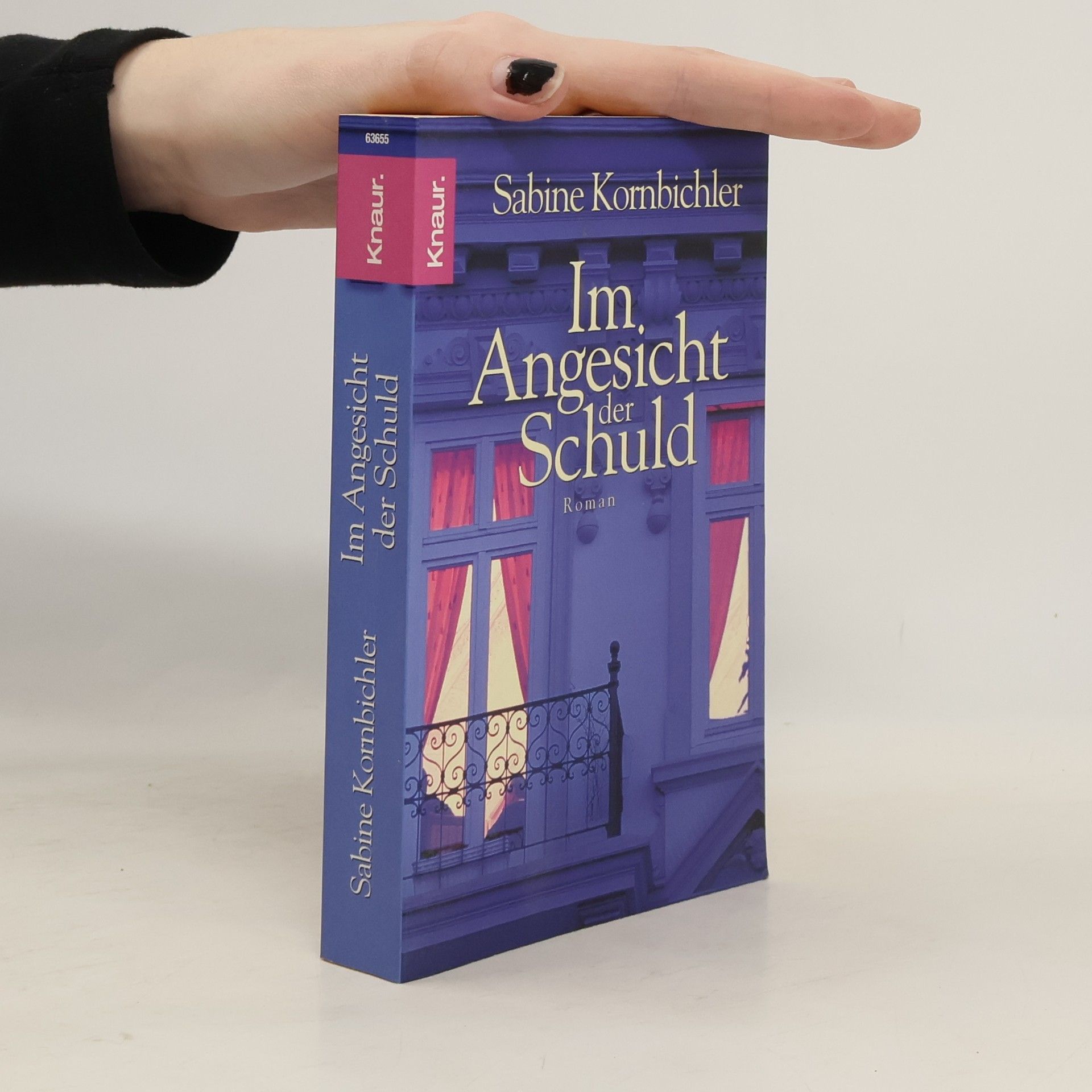 Sabine Kornbichler Im Angesicht der Schuld