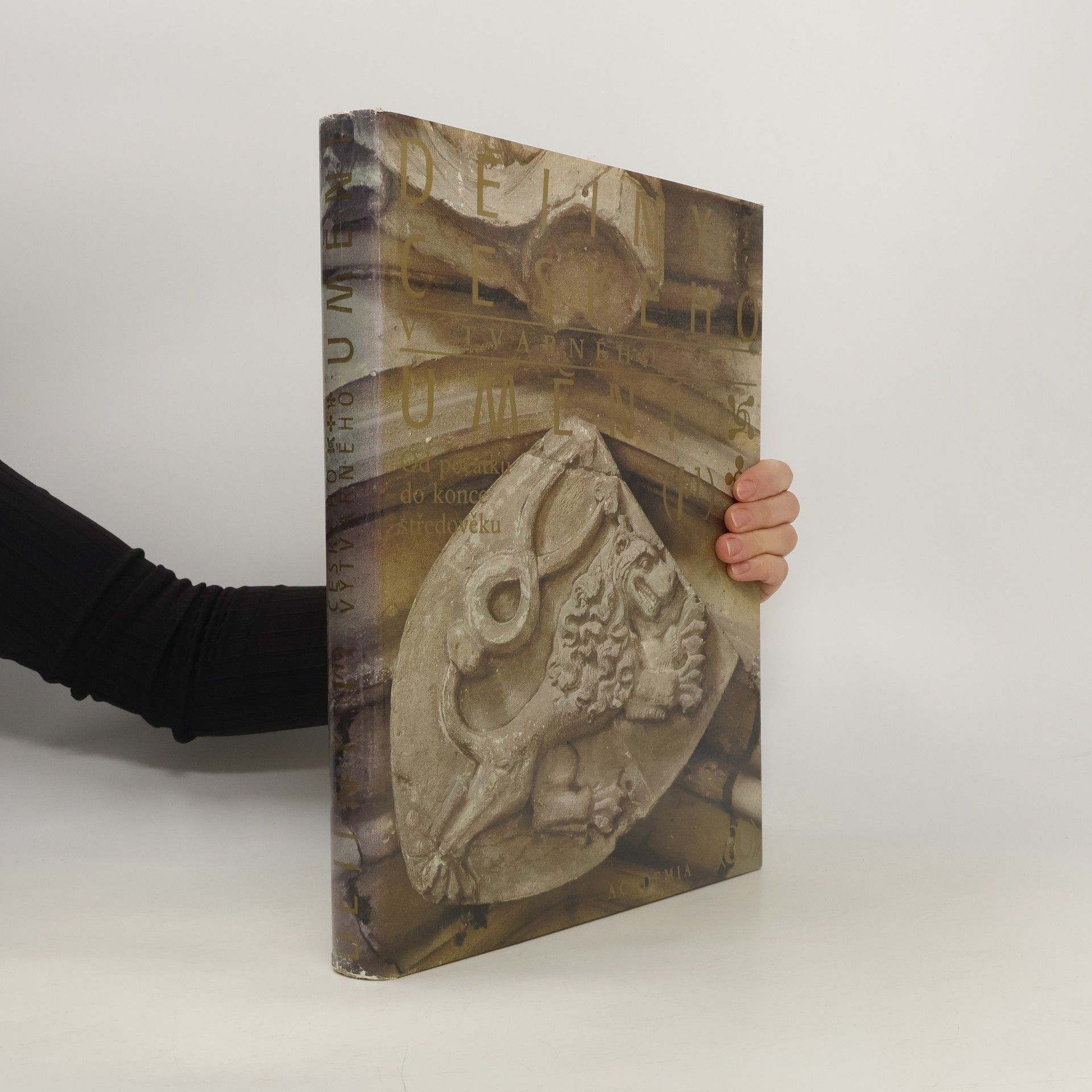 Autorenkollektiv Dějiny českého výtvarného umění I/1