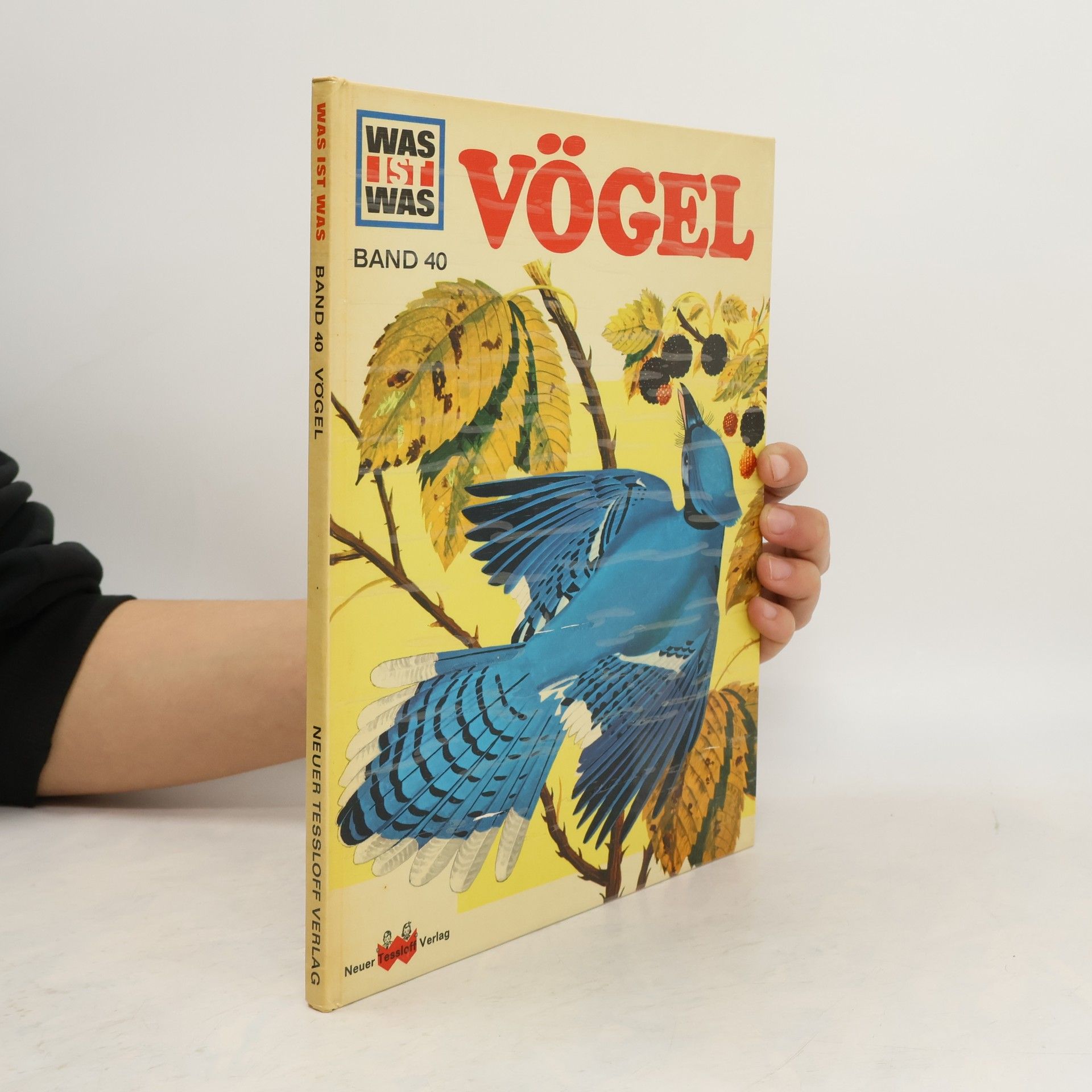 Vögel
