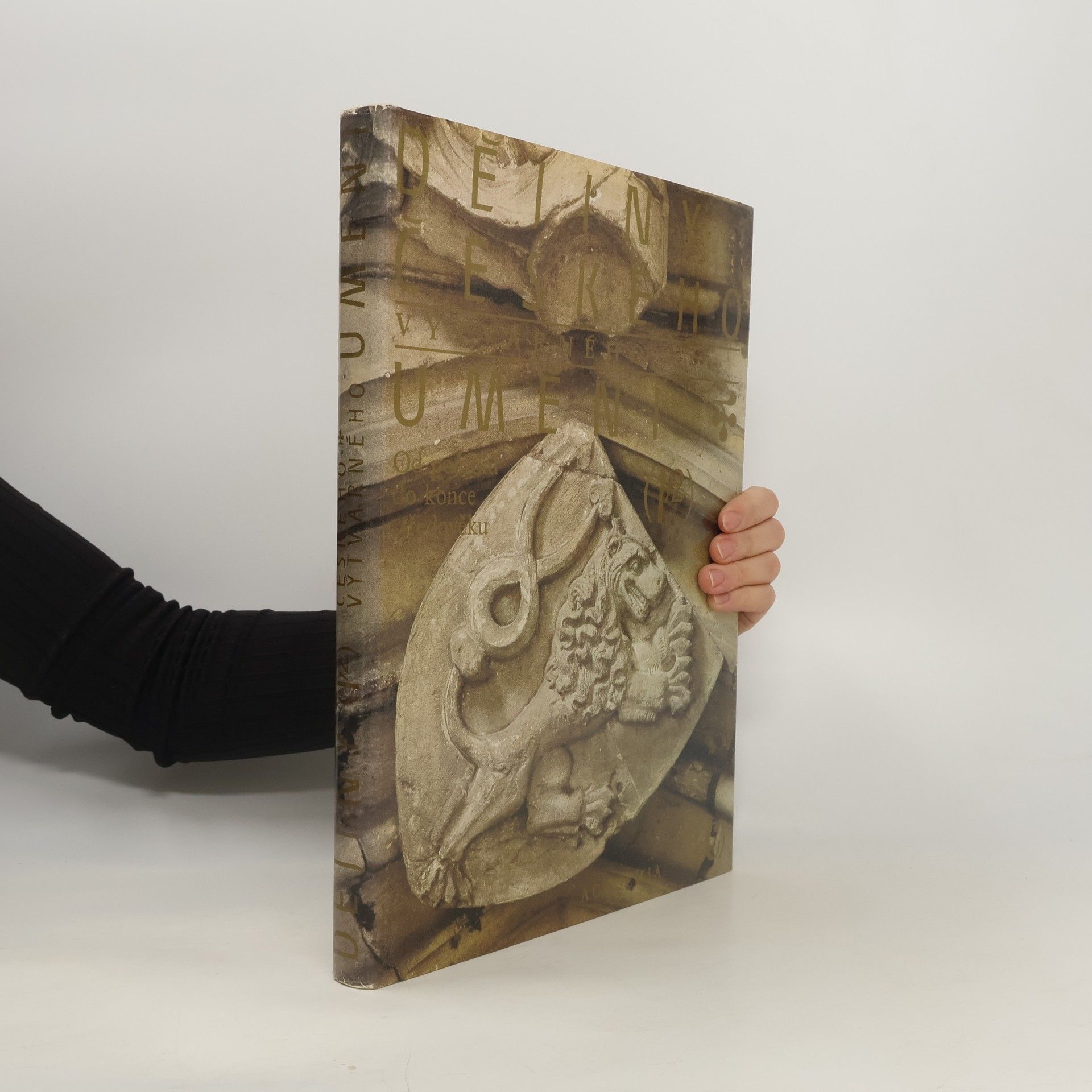 Kolektiv autorů Dějiny českého výtvarného umění I/2