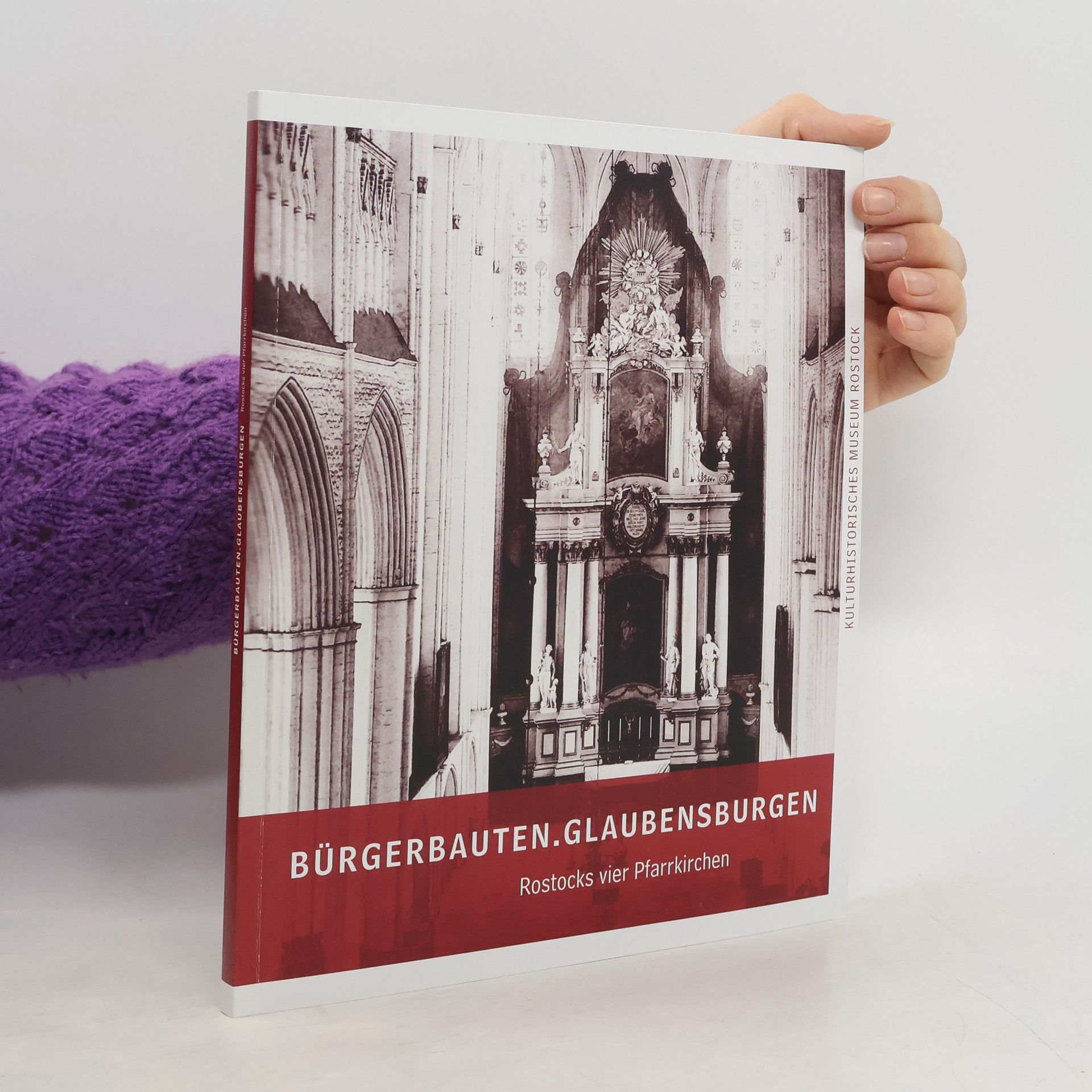 Kolektív autorov Bürgerbauten.Glaubensburgen