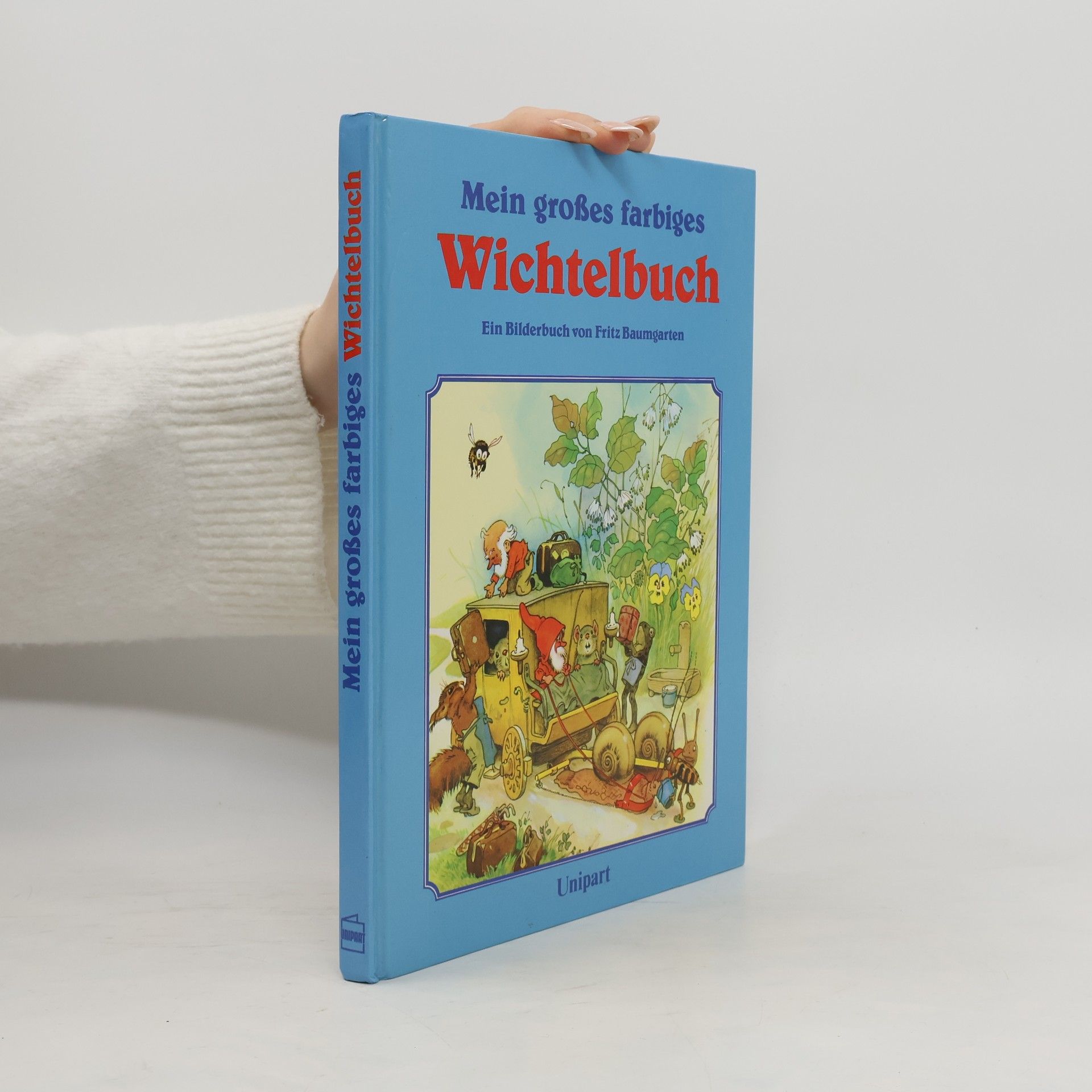 Autorenkollektiv Mein grosses farbiges Wichtelbuch