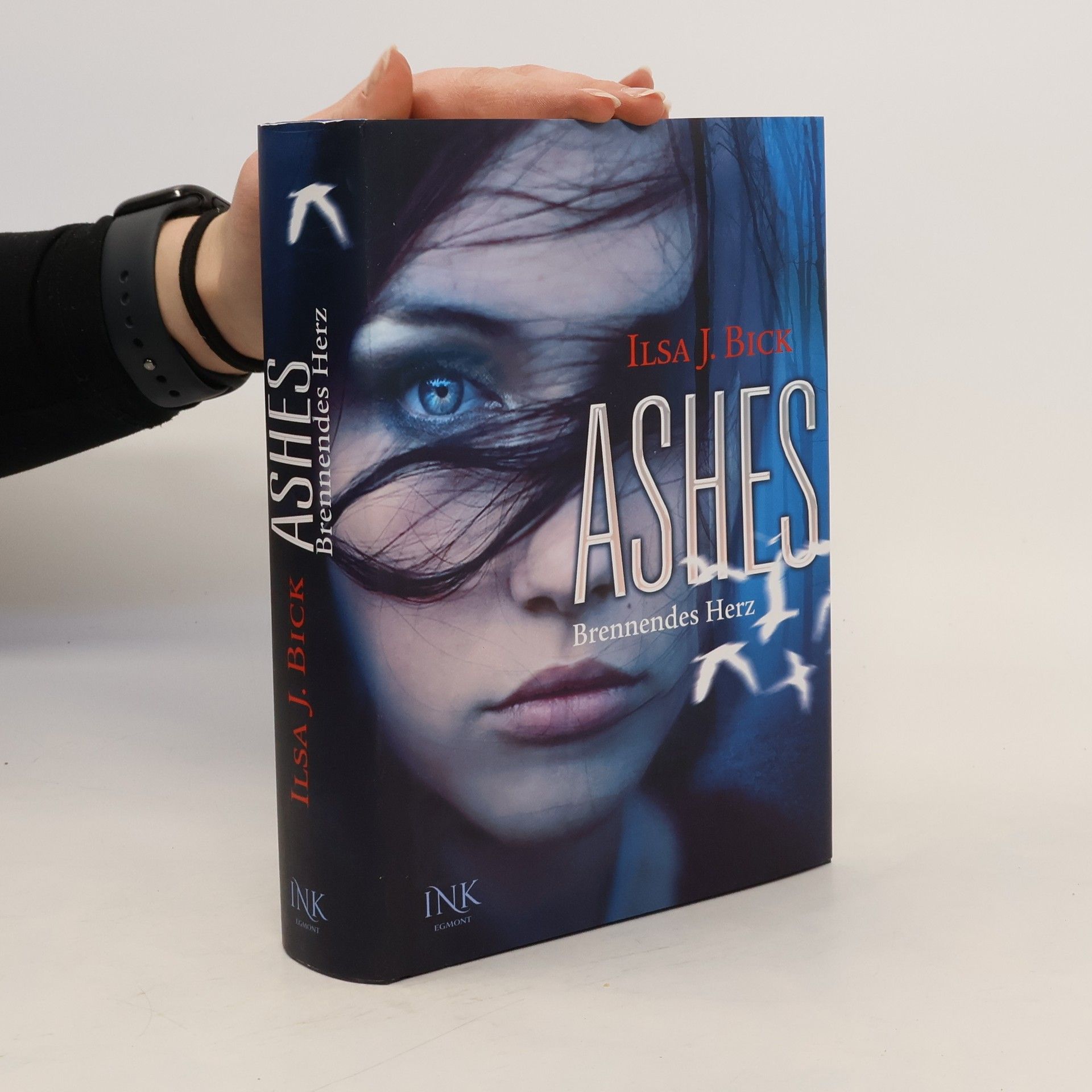 Ilsa J. Bick Ashes. Brennendes Herz