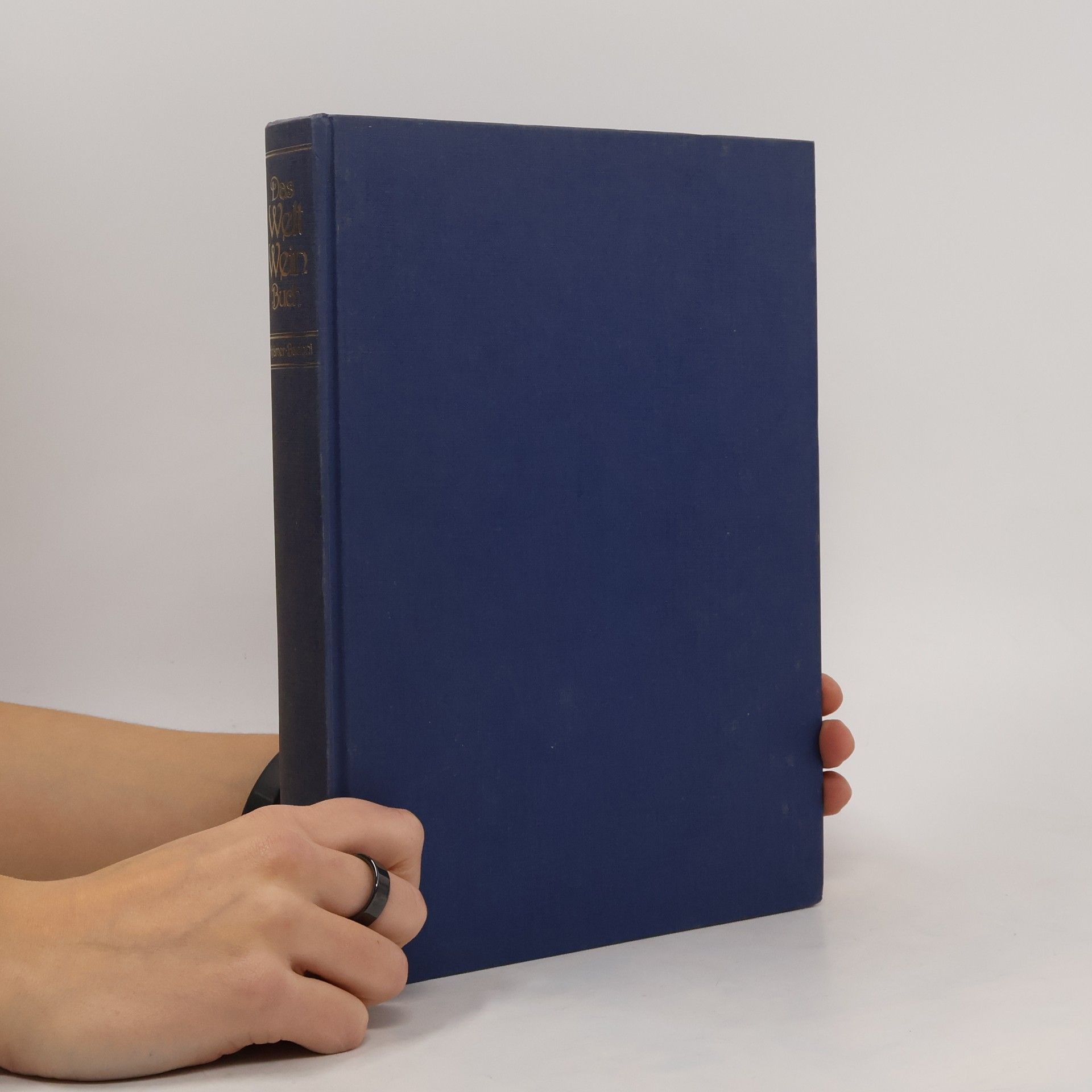 Rudolf Krämer-Badoni Das Welt-Wein-Buch