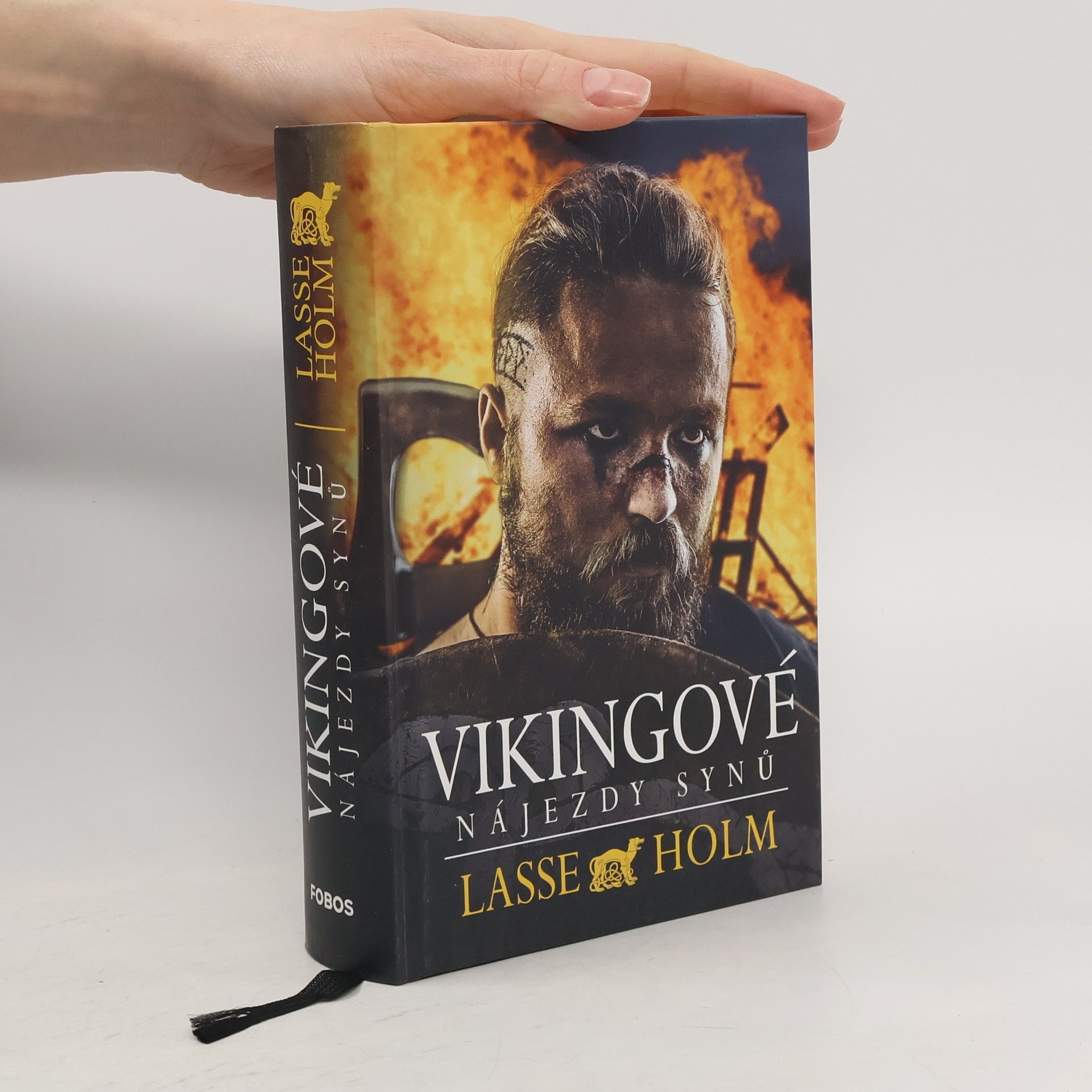 Lasse Holm Vikingové. Nájezdy synů