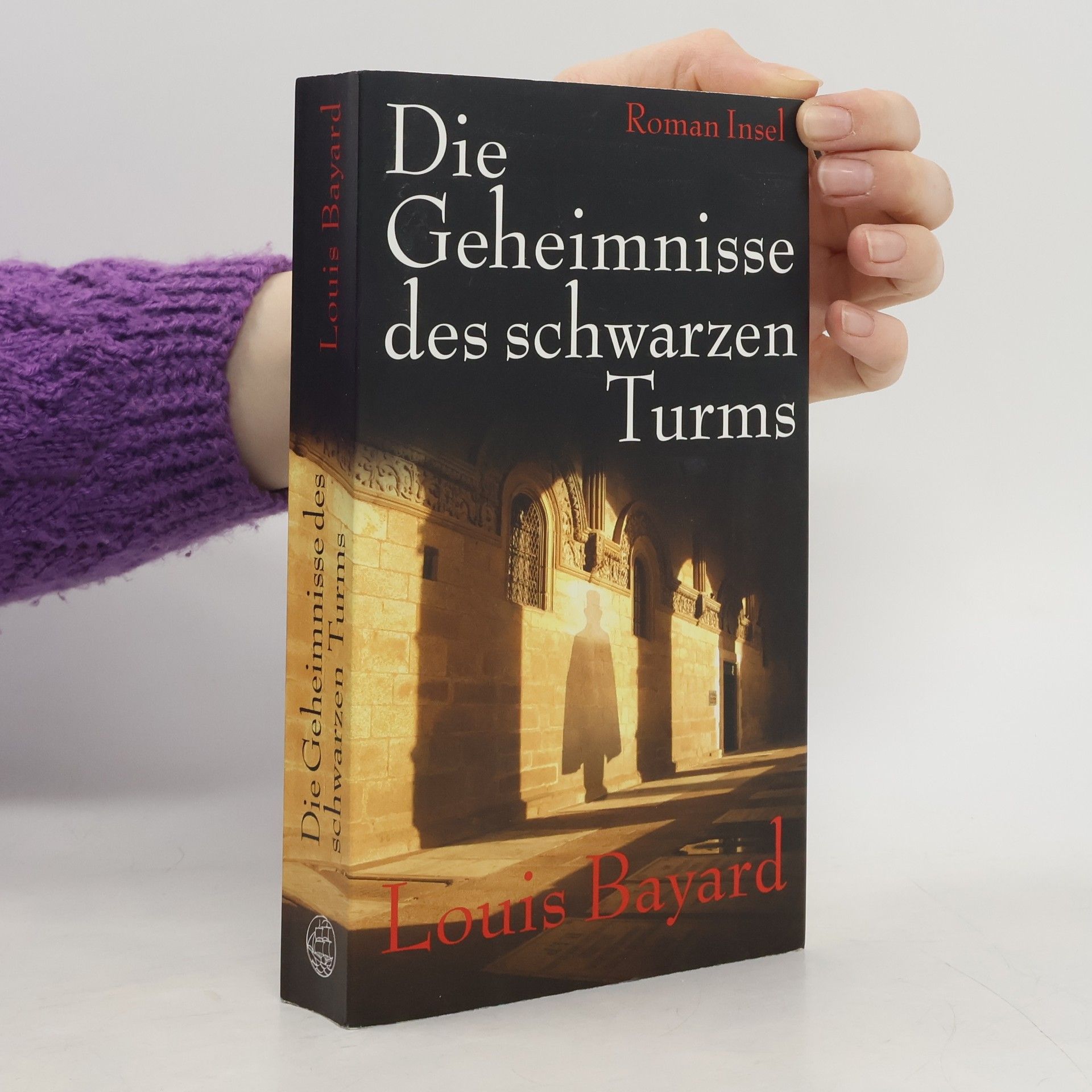 Louis Bayard Die Geheimnisse des schwarzen Turms