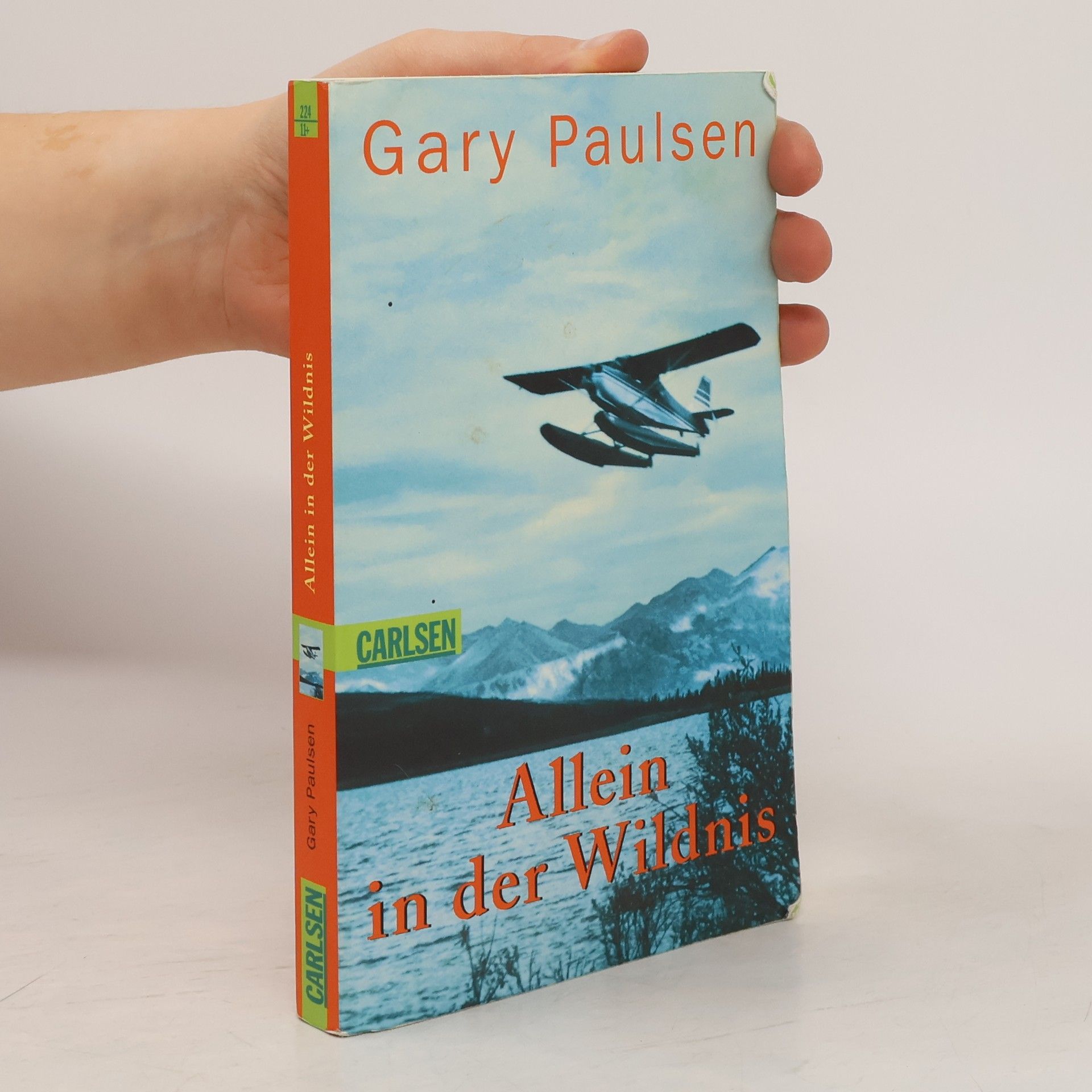 Gary Paulsen Allein in der Wildnis