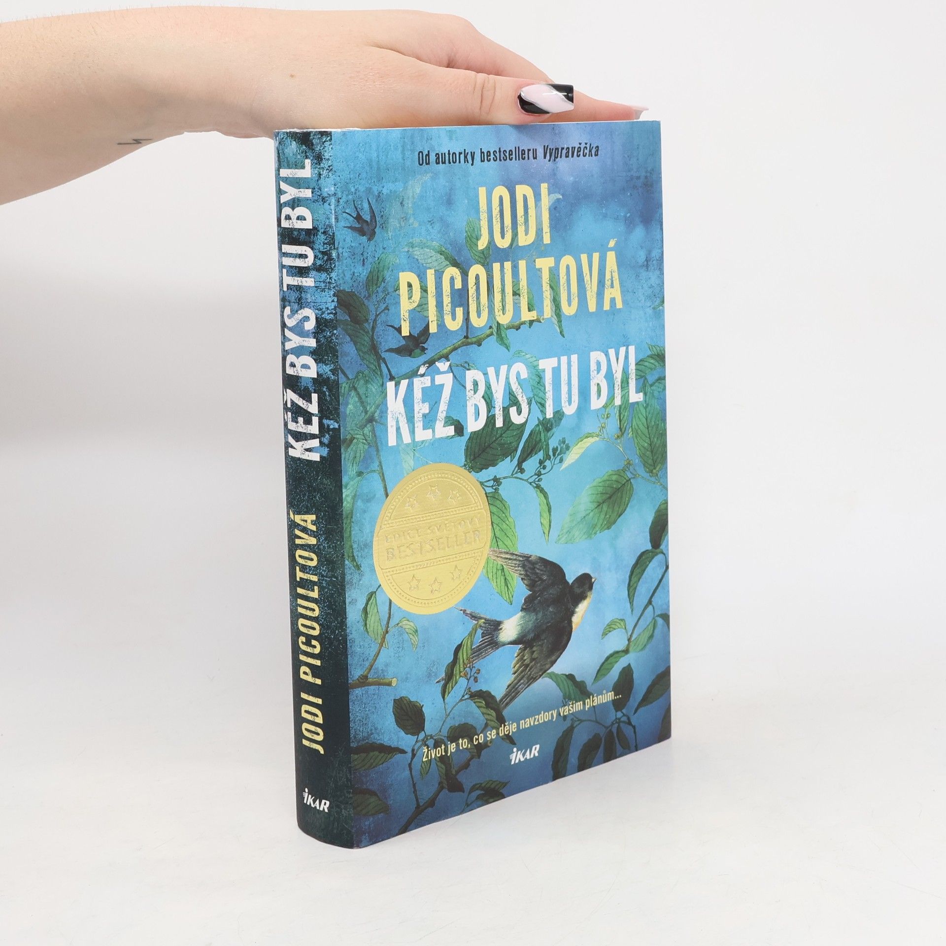 Marcela Nejedlá Kéž bys tu byl