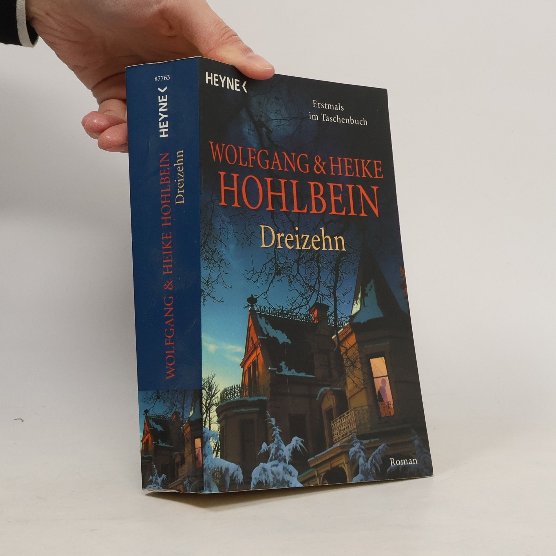 Wolfgang Hohlbein Dreizehn