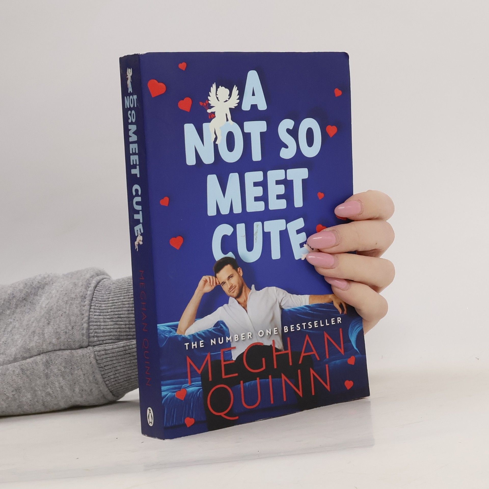 Meghan Quinn A Not So Meet Cute