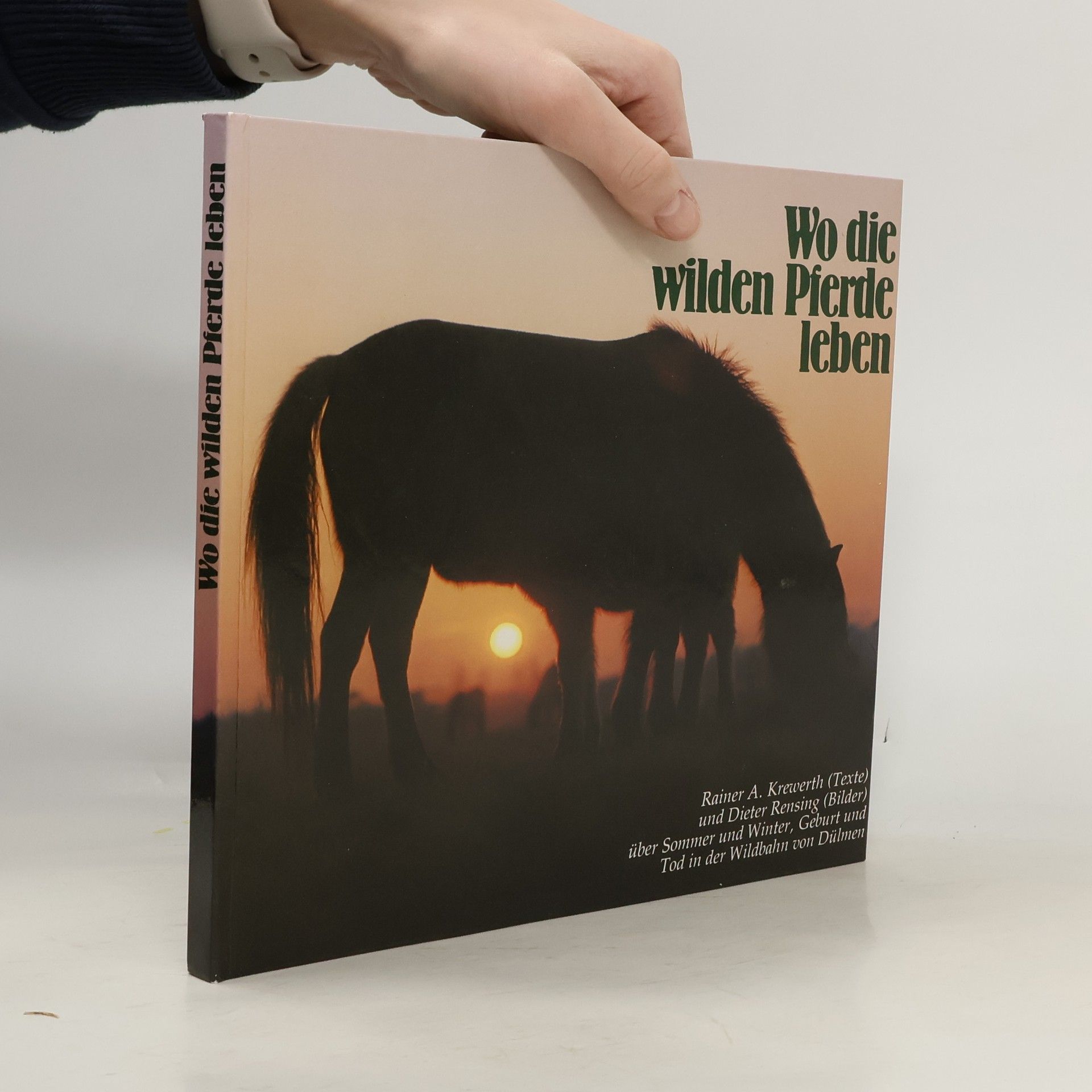 Collectif d'auteurs Wo die wilden Pierde leben