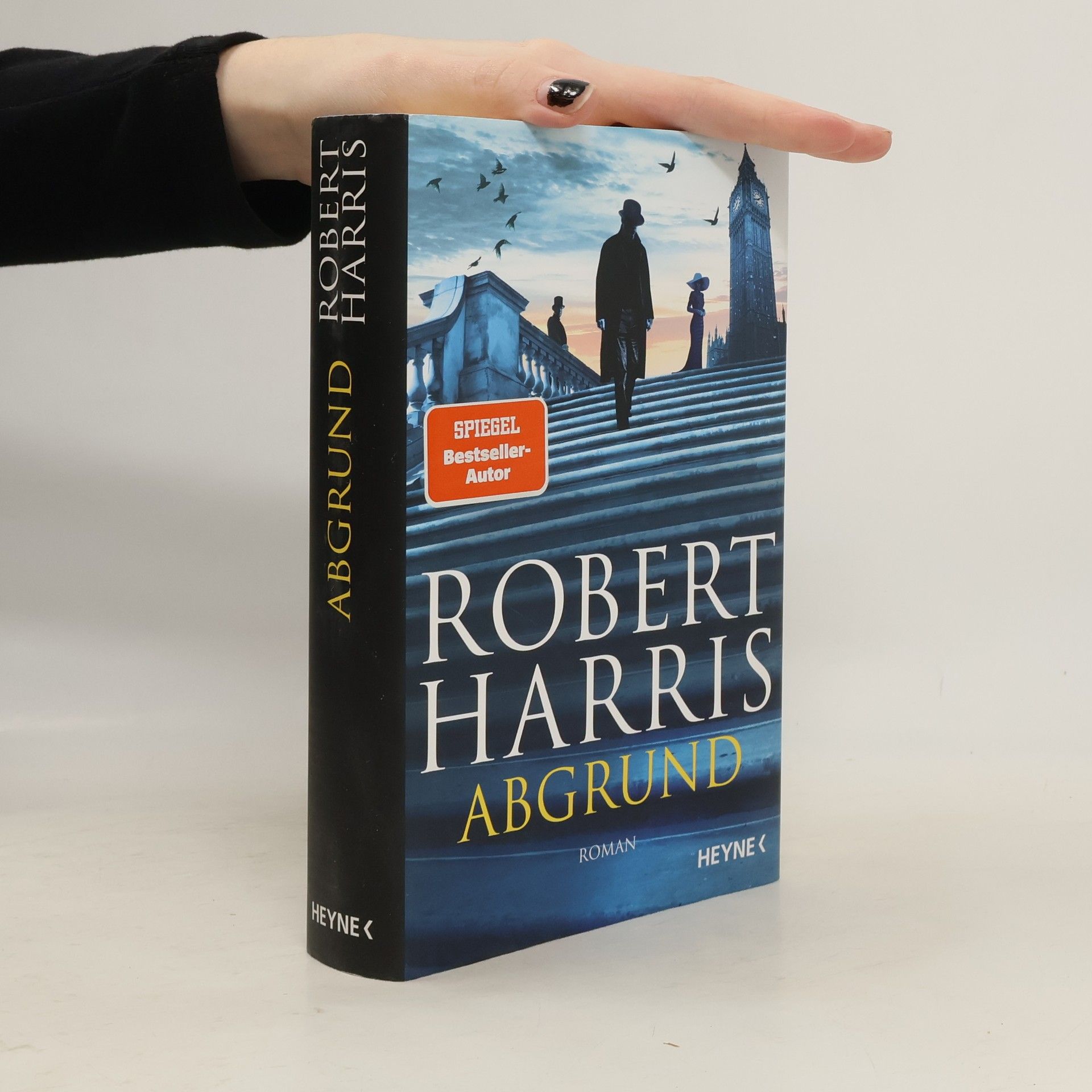 Robert Harris Abgrund