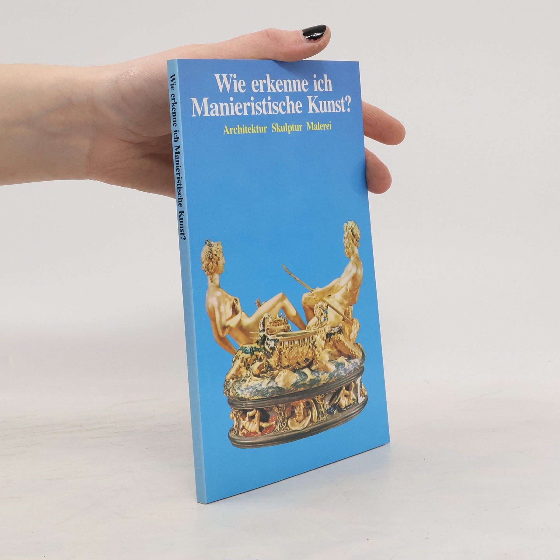 Collectif d'auteurs Wie erkenne ich Manieristische Kunst?