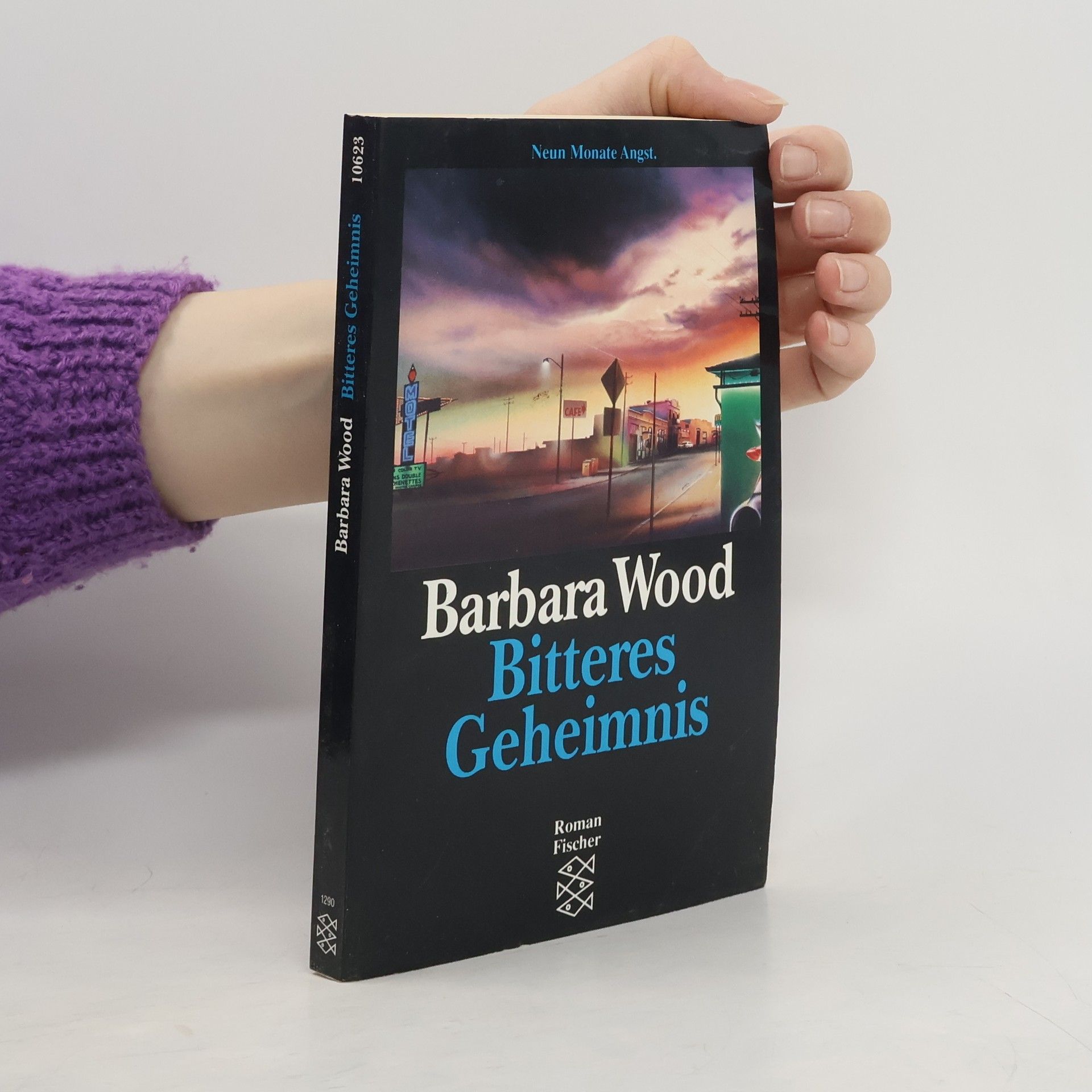 Barbara Wood Bitteres Geheimnis