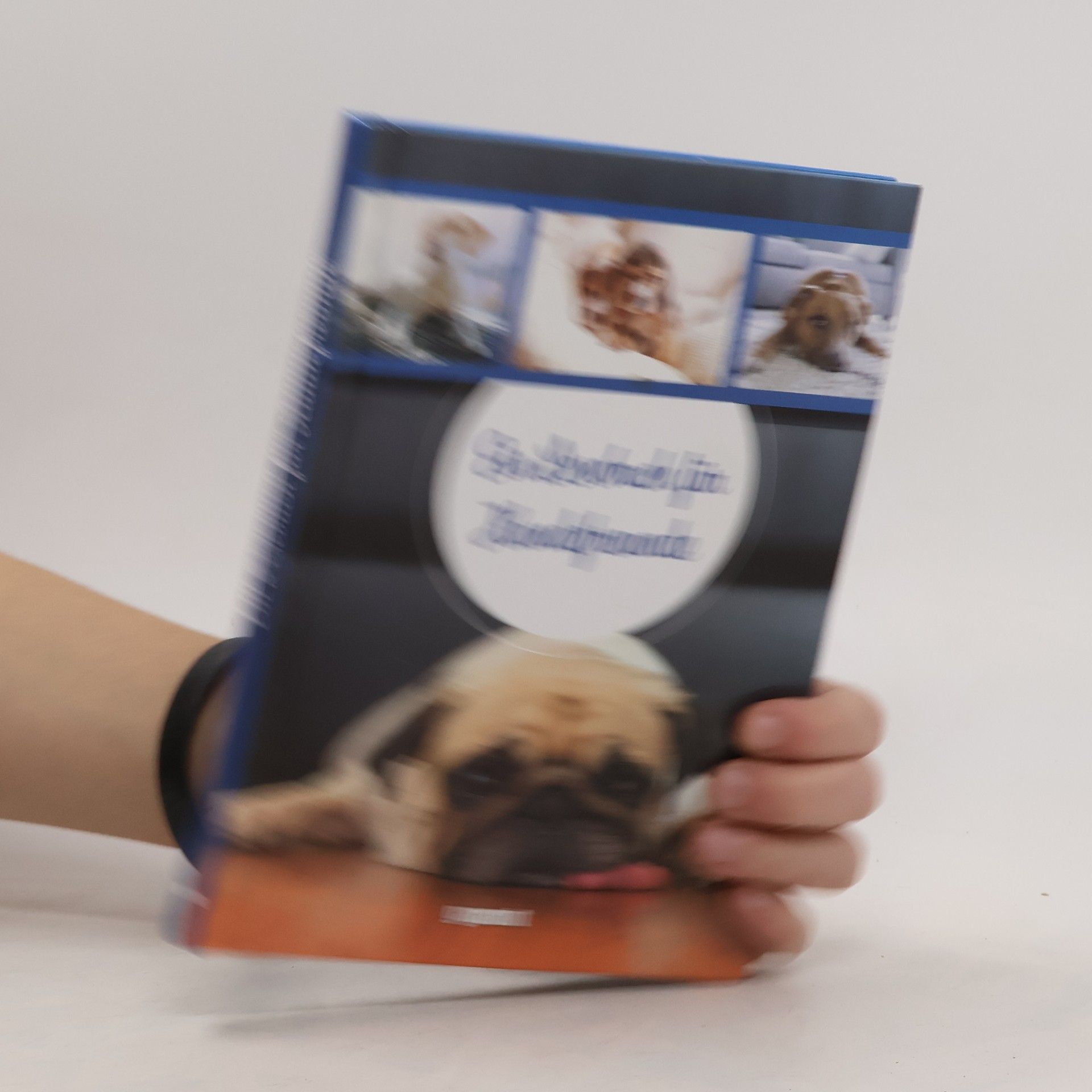 Autorenkollektiv Ein Lesebuch für Hundefreunde