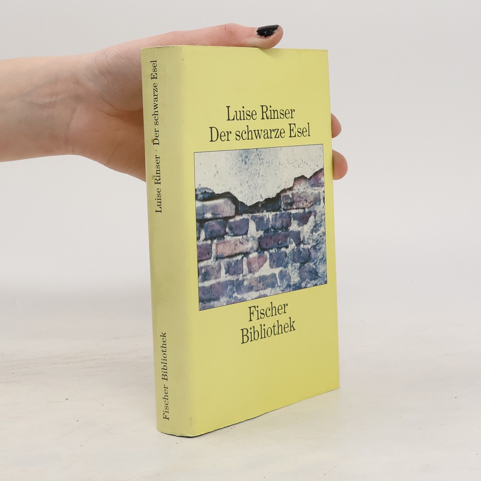 Luise Rinser Der schwarze Esel