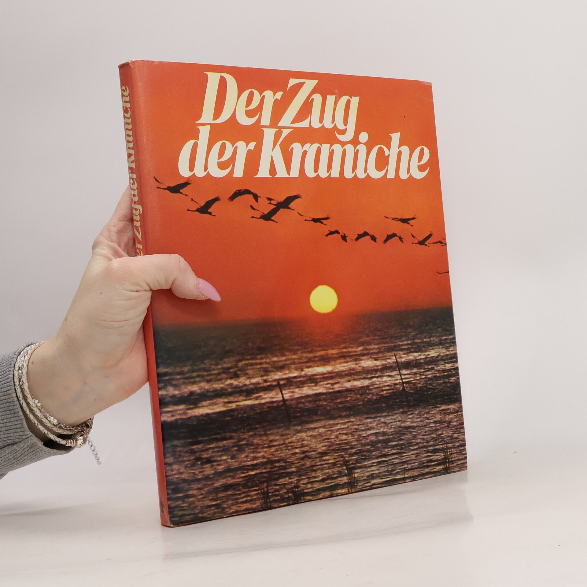 Der Zug der Kraniche