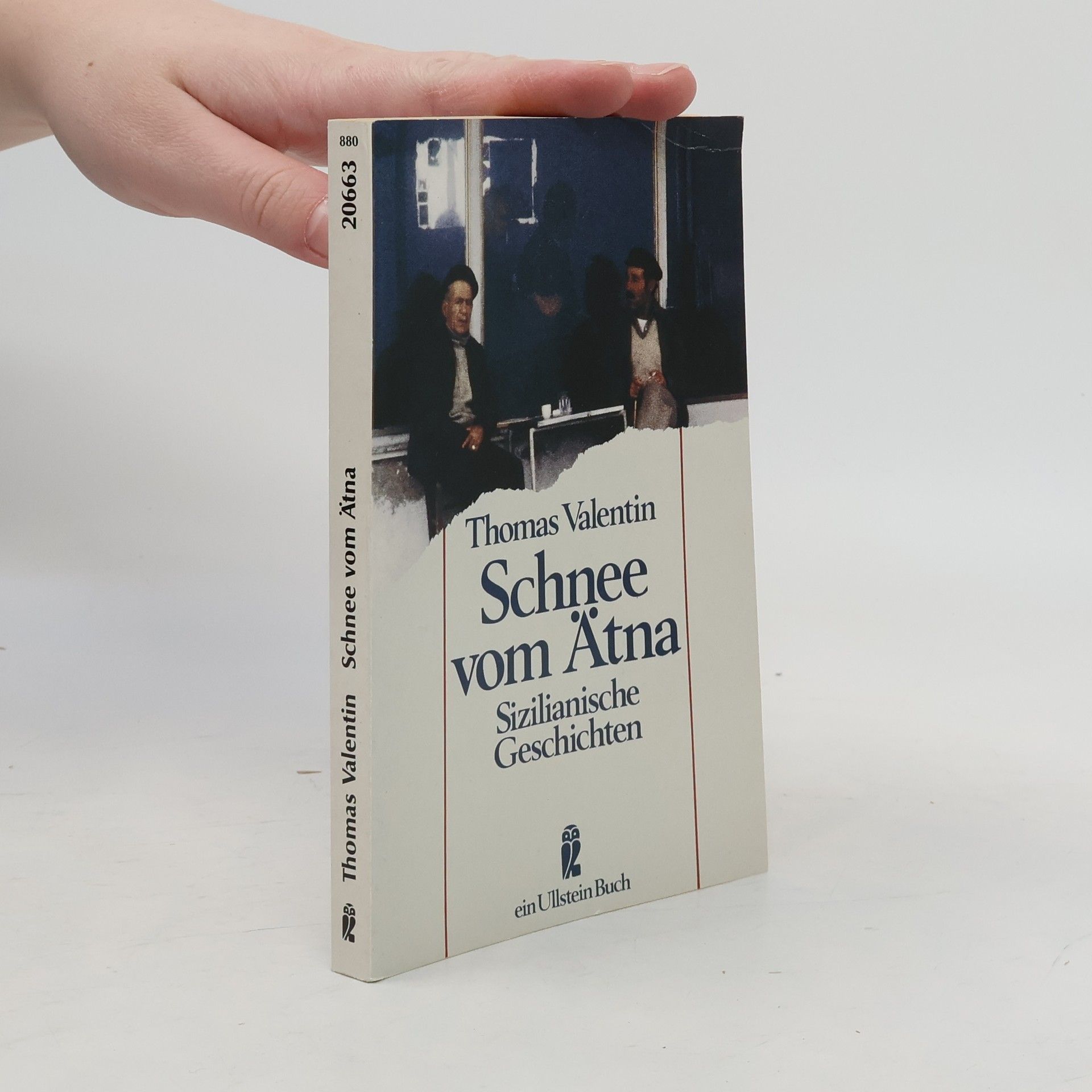 Thomas Valentin Schnee vom Ätna