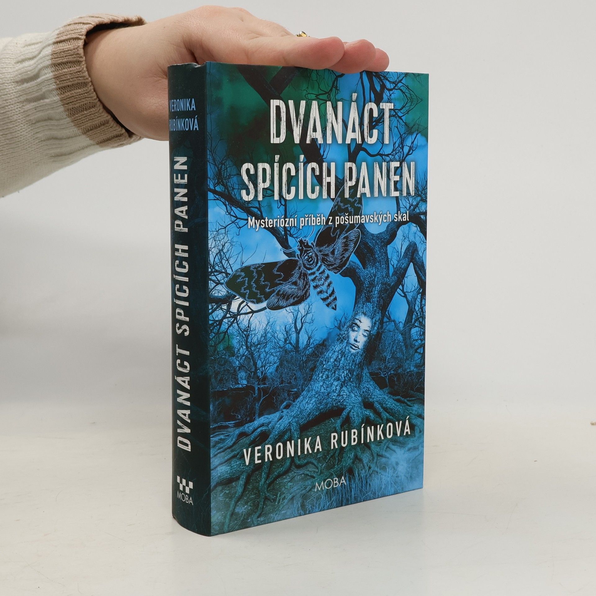 Dvanáct spících panen