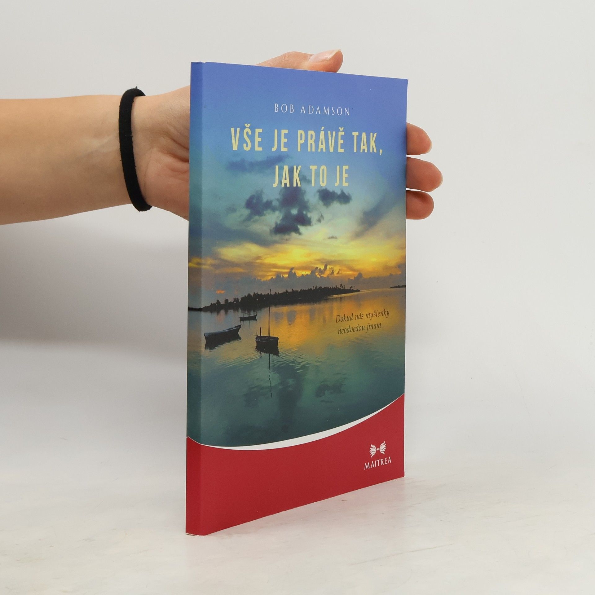 Bob Adamson Vše je právě tak, jak to je: Dokud nás myšlenky neodvedou jinam…