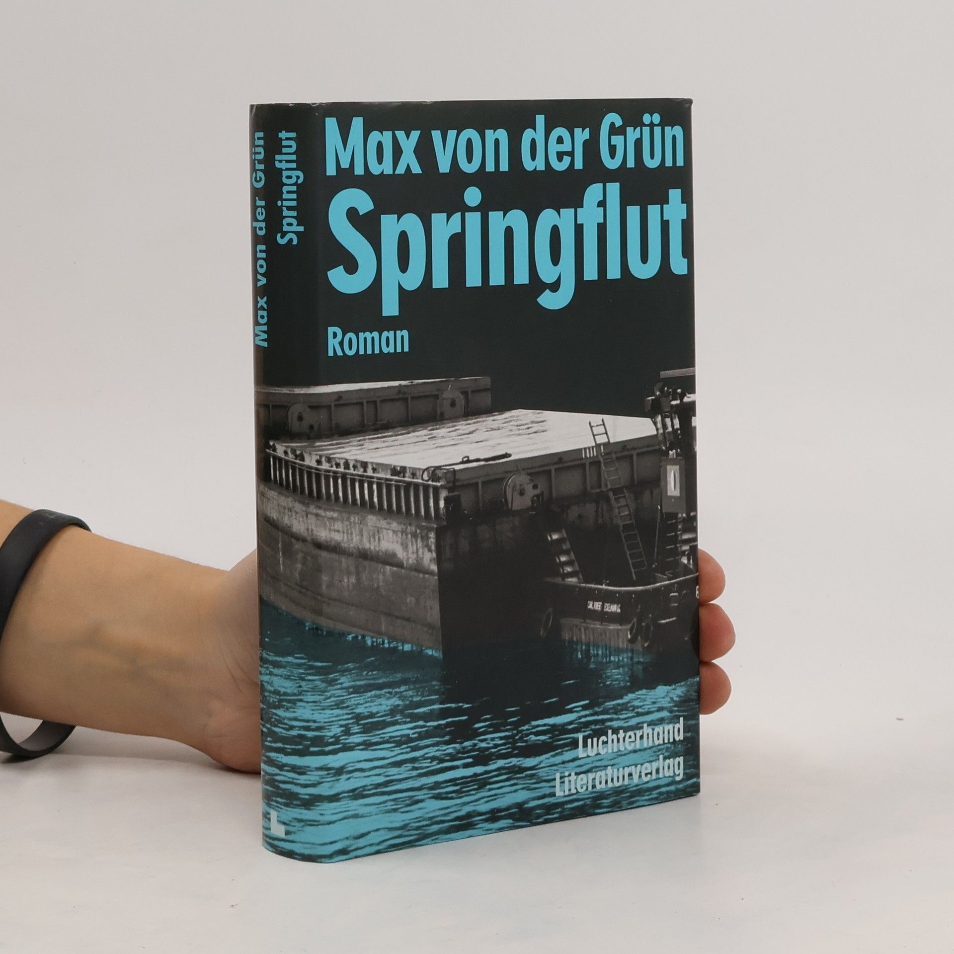 Max von der Grün Springflut