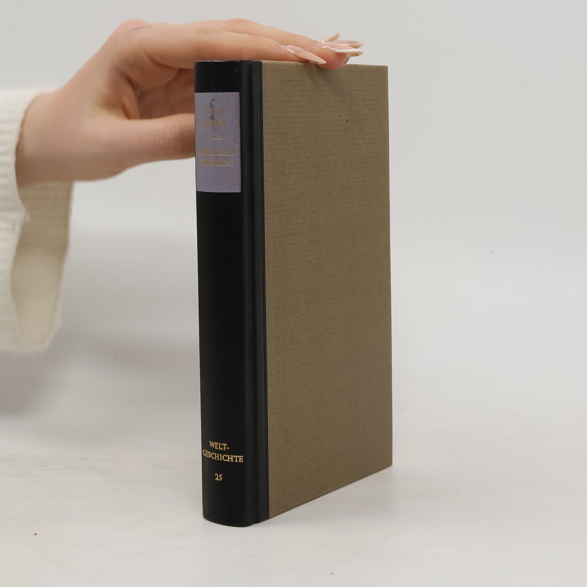 Otto Zierer Geschichte Afrikas. Weltgeschichte 25