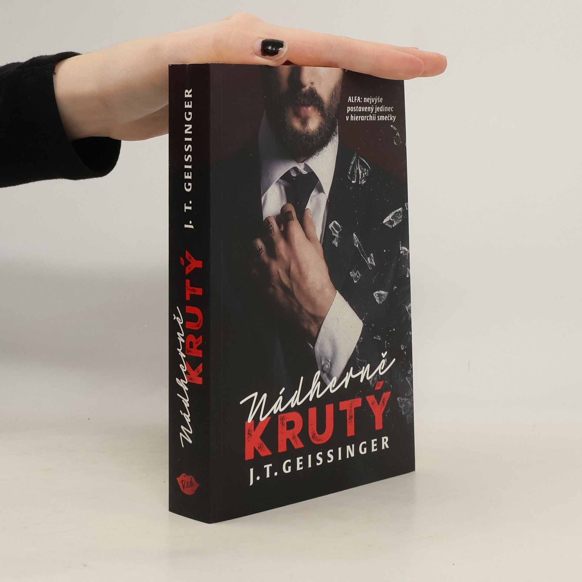 J. T. Geissinger Nádherně krutý