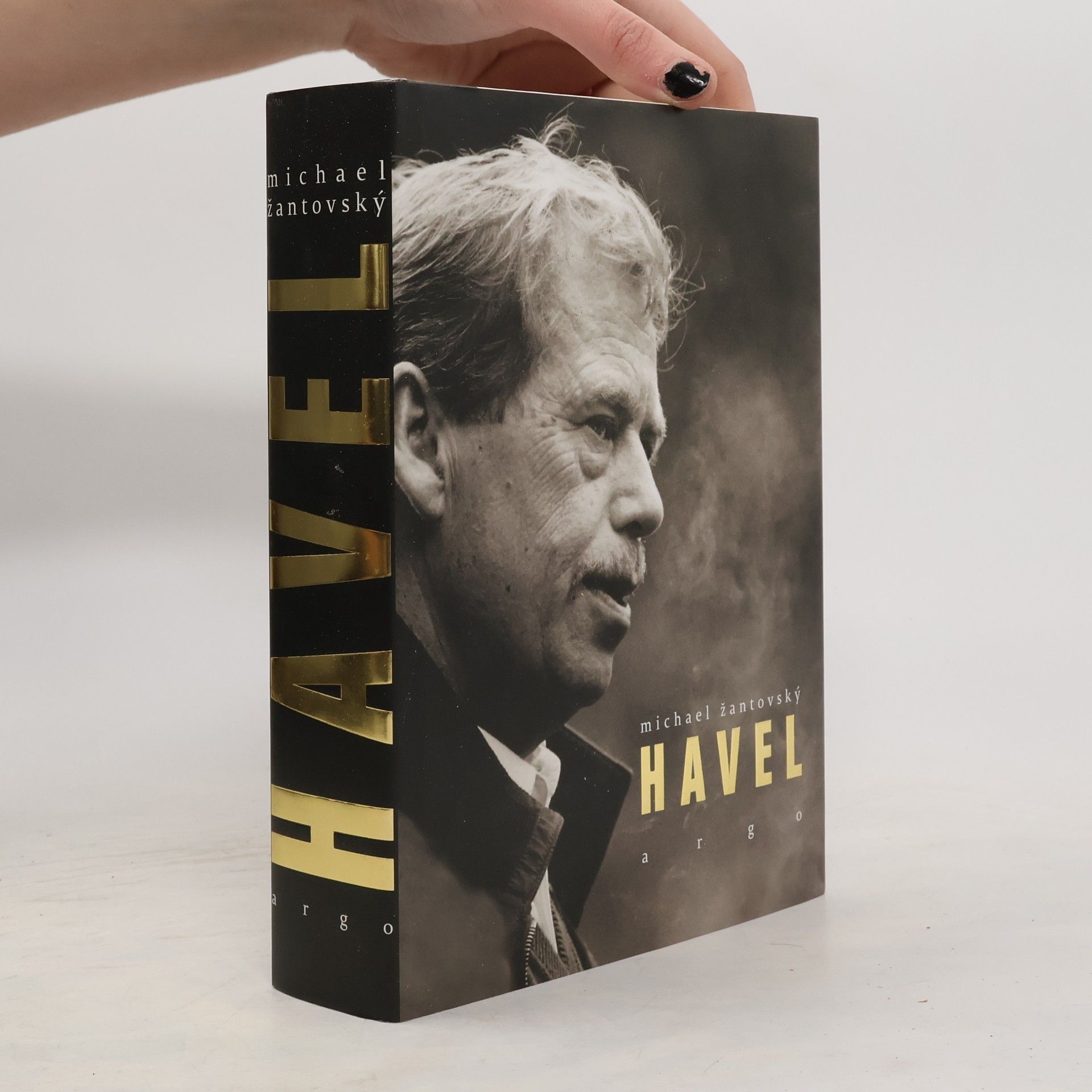 Michael Žantovský Havel