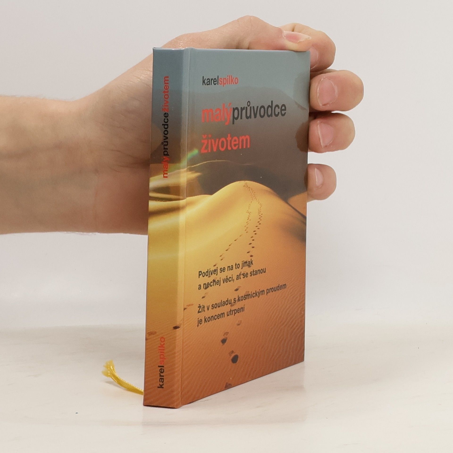 Malý průvodce životem
