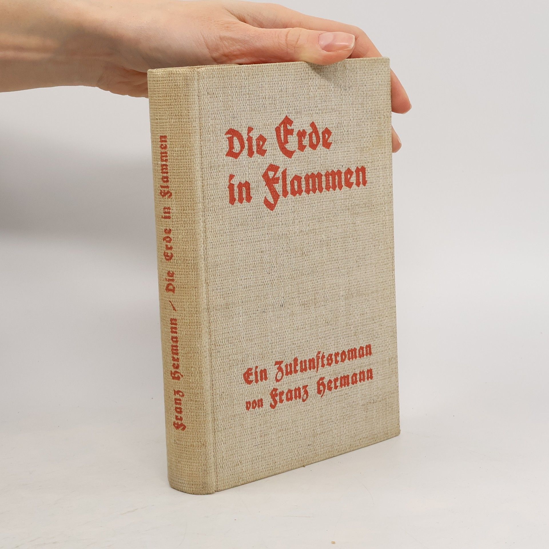 Franz Hermann Die Erde in Flammen