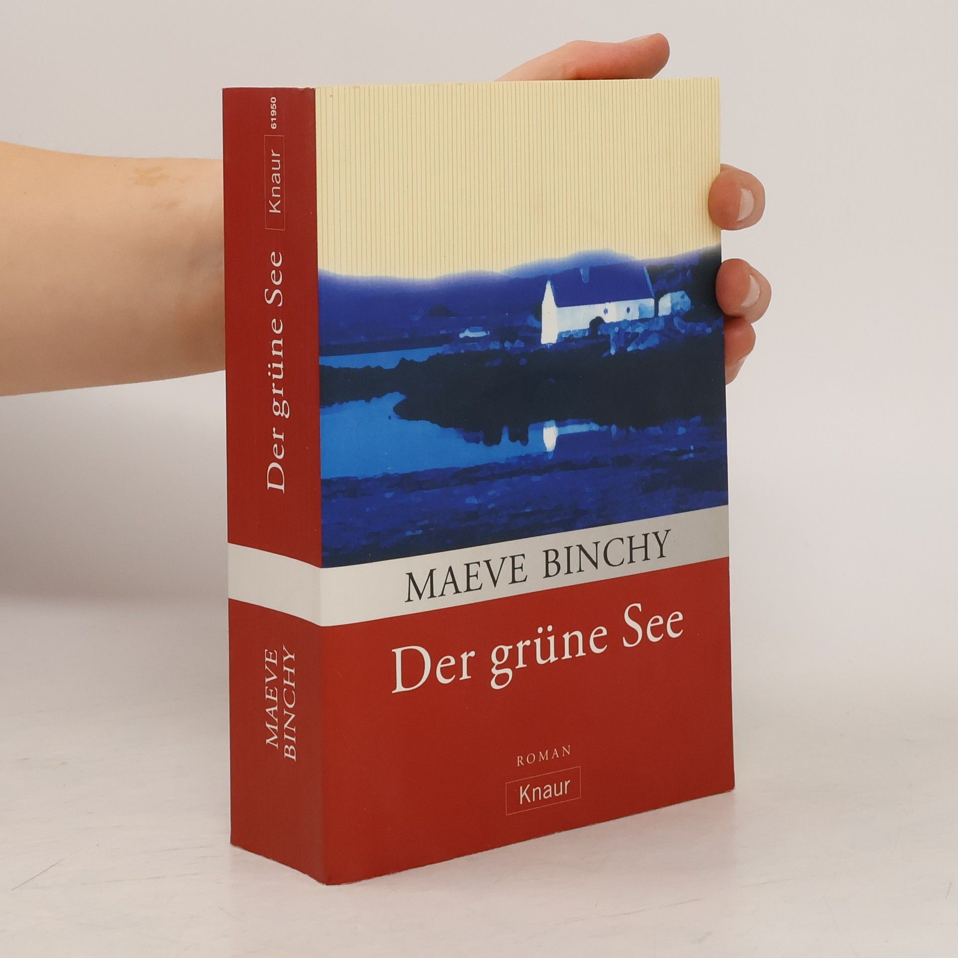 Maeve Binchy Der grüne See