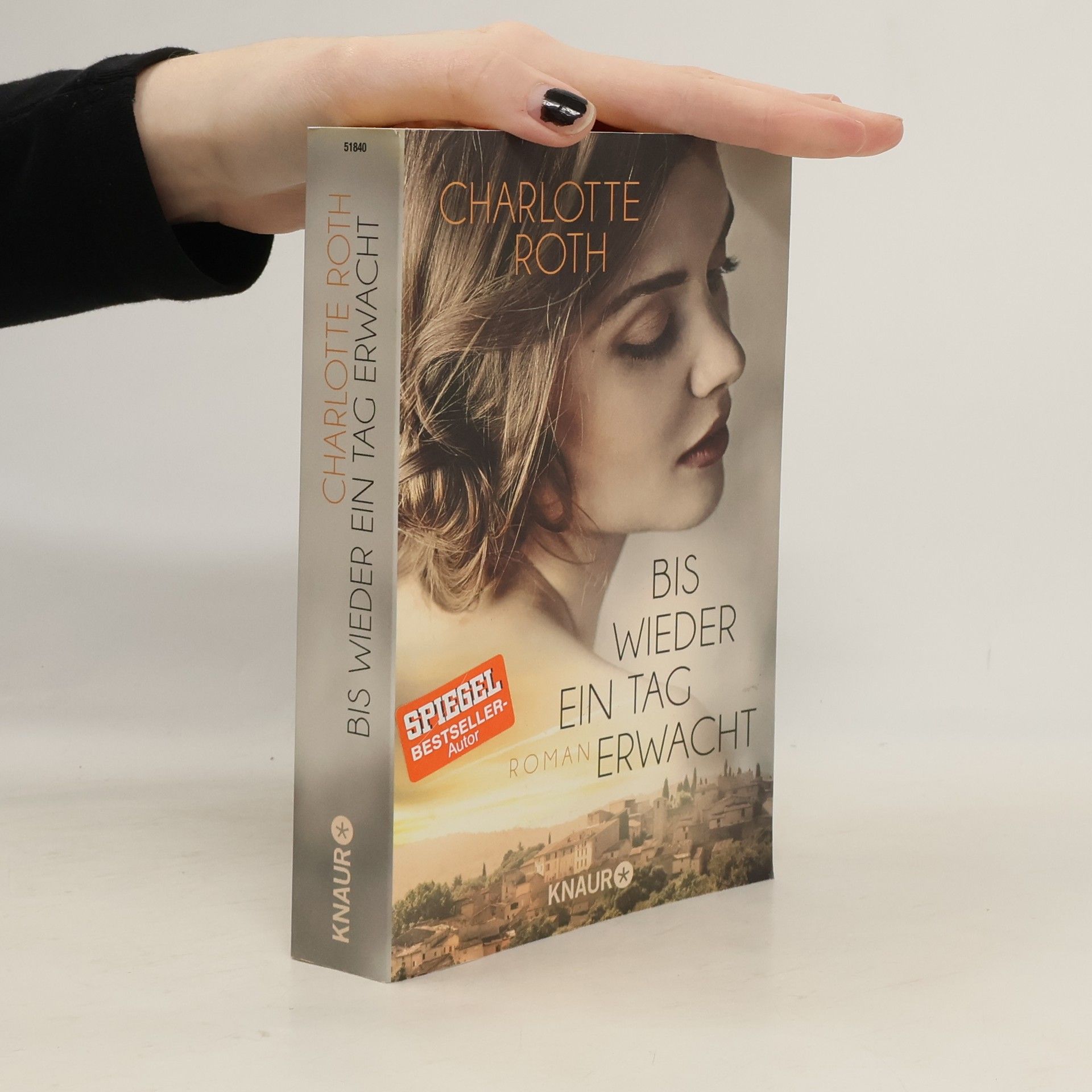 Charlotte Roth Bis wieder ein Tag erwacht