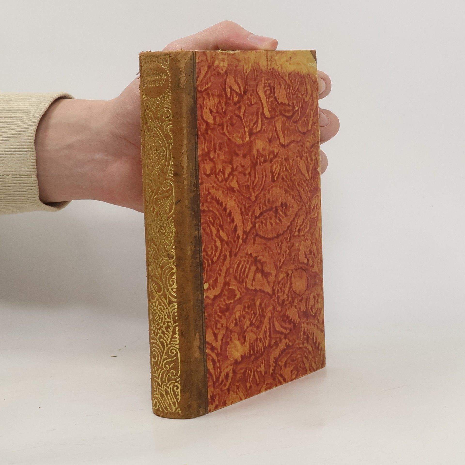 Aus meinem Bühnenleben