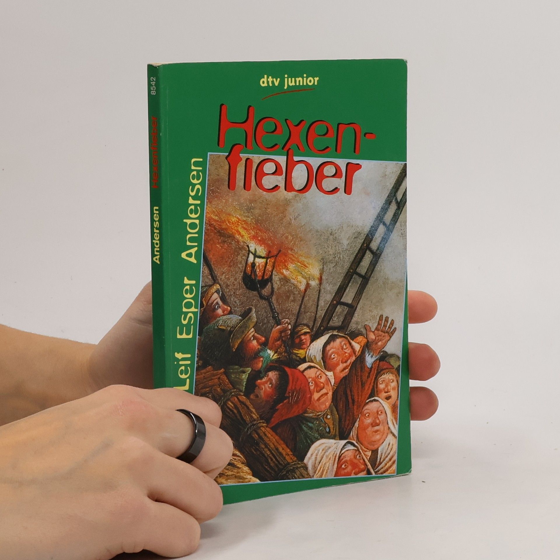 dtv junior: Hexenfieber, Sonderausgabe