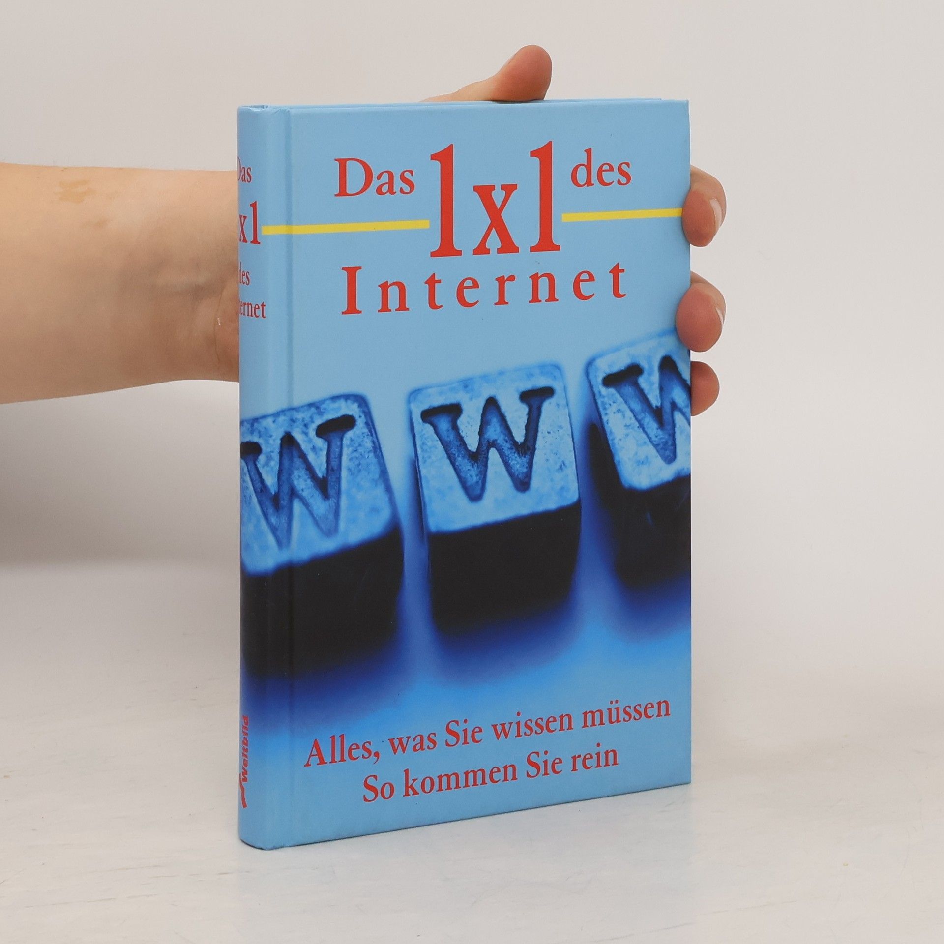Das 1 x 1 des Internet
