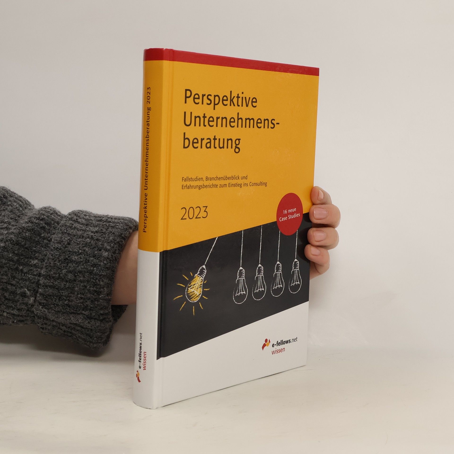 AA.VV. Perspektive Unternehmensberatung 2023