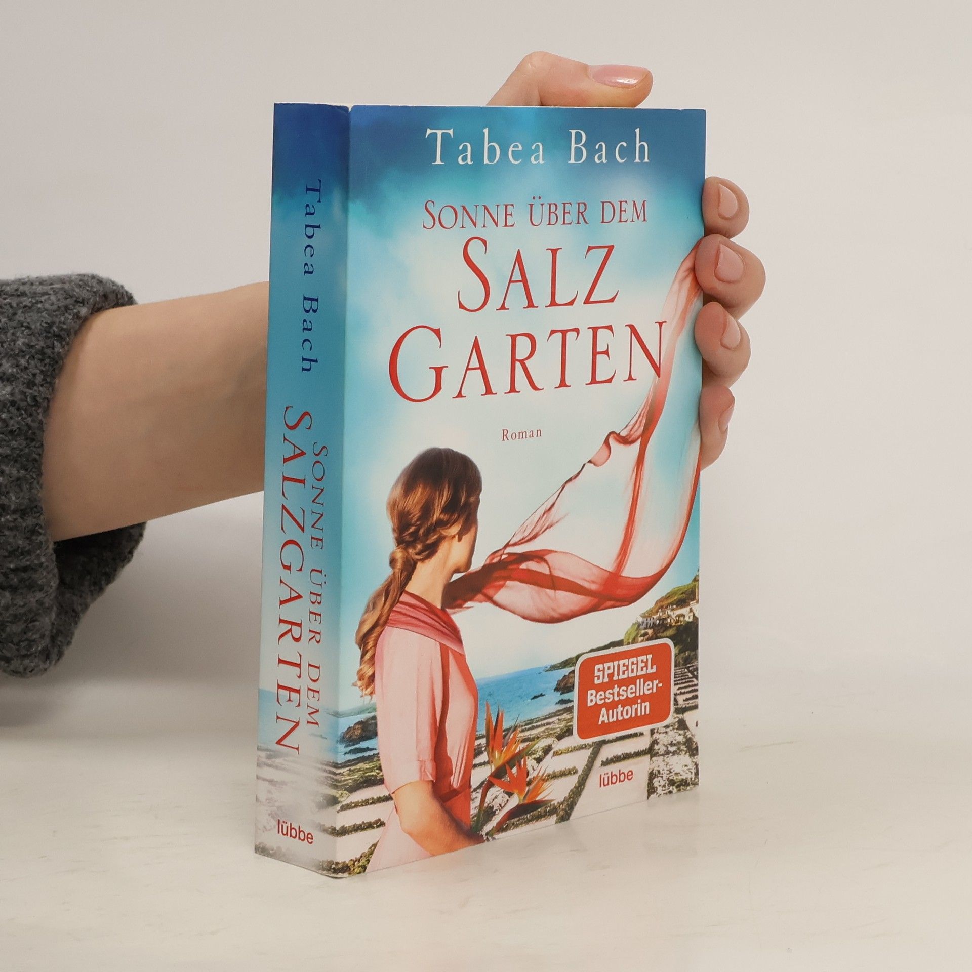 Sonne über dem Salzgarten