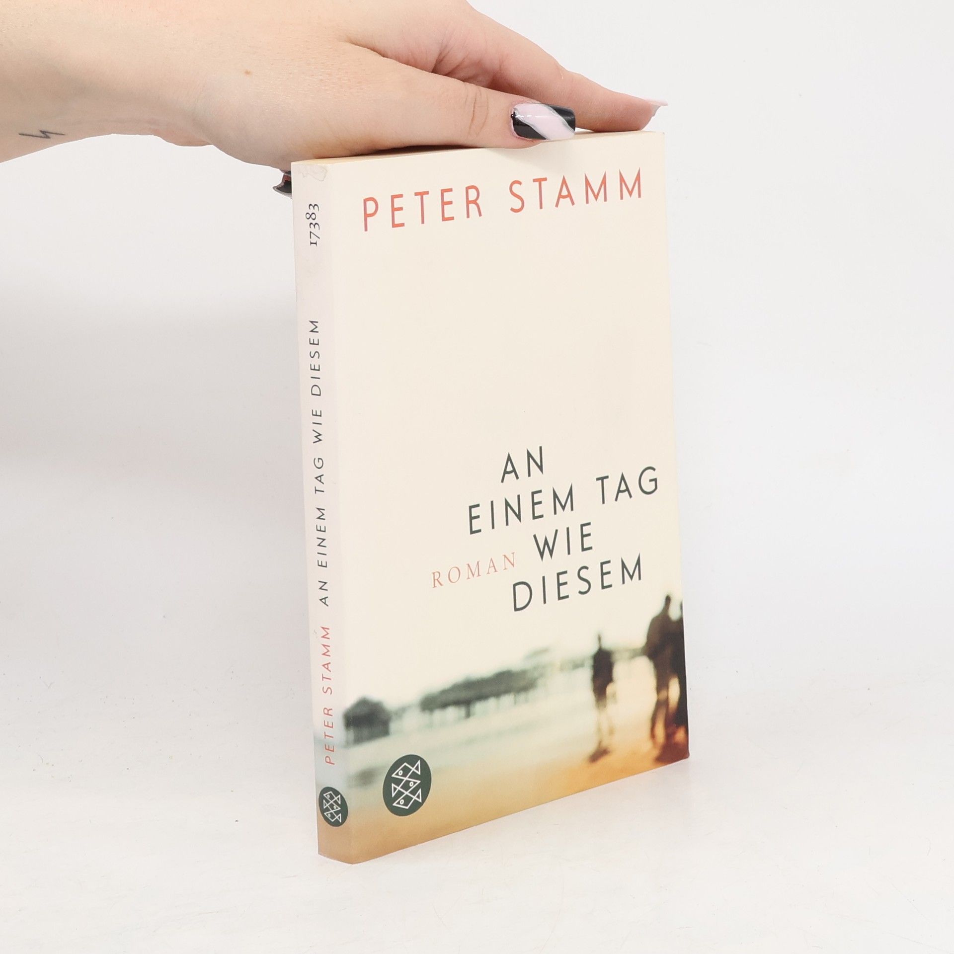 Peter Stamm An einem Tag wie diesem