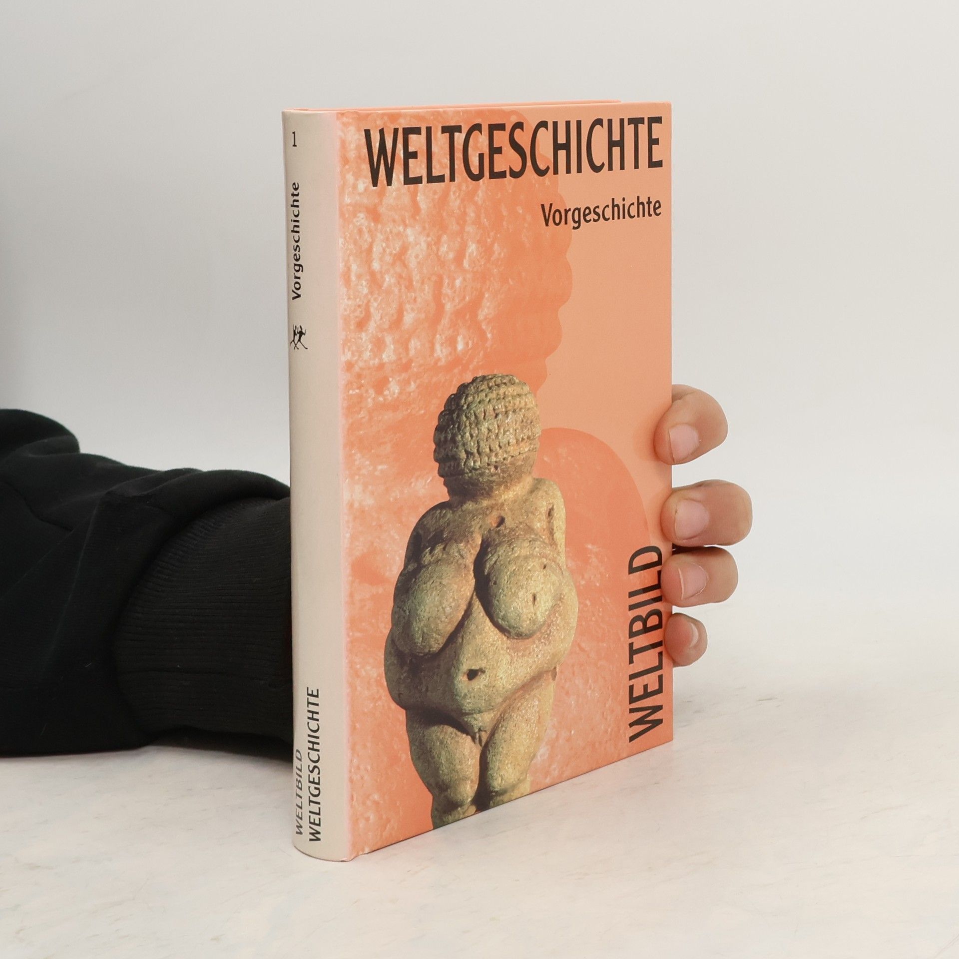 Collectif d'auteurs Weltgeschichte 1. Vorgeschichte