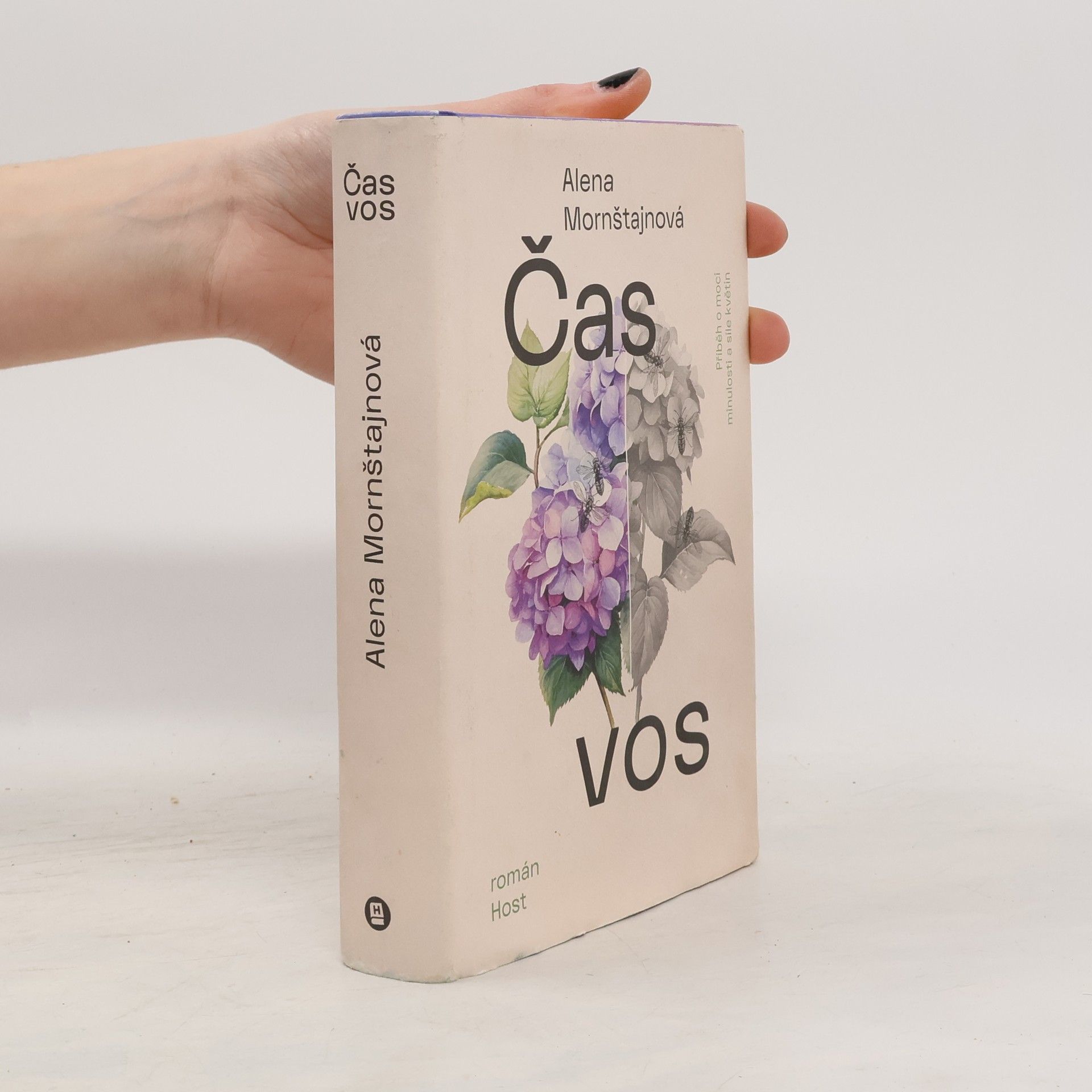 Alena Mornštajnová Čas vos