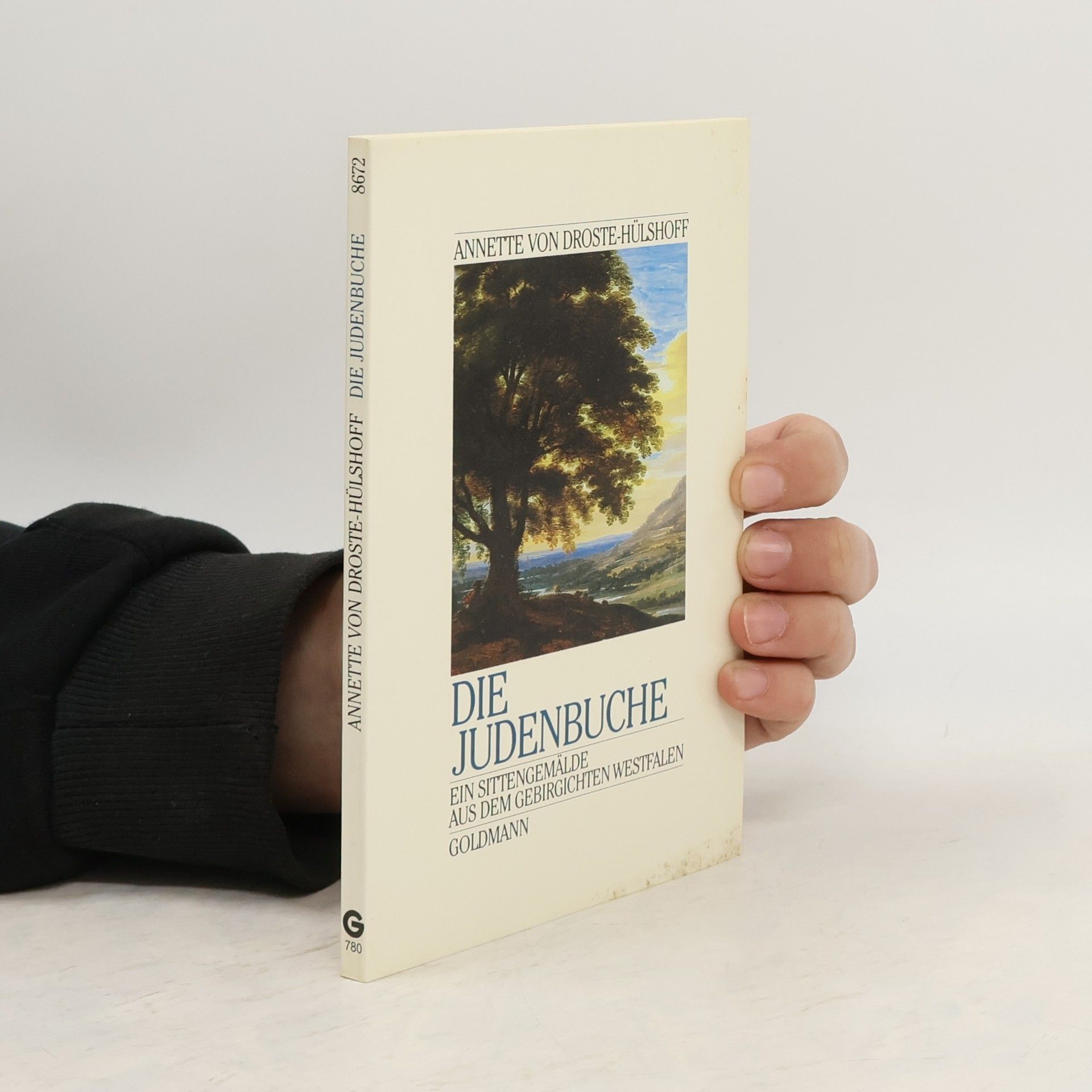 Annette von Droste-Hülshoff Die Judenbuche. Ein Sittengemälde aus dem gebirgichten Westfalen